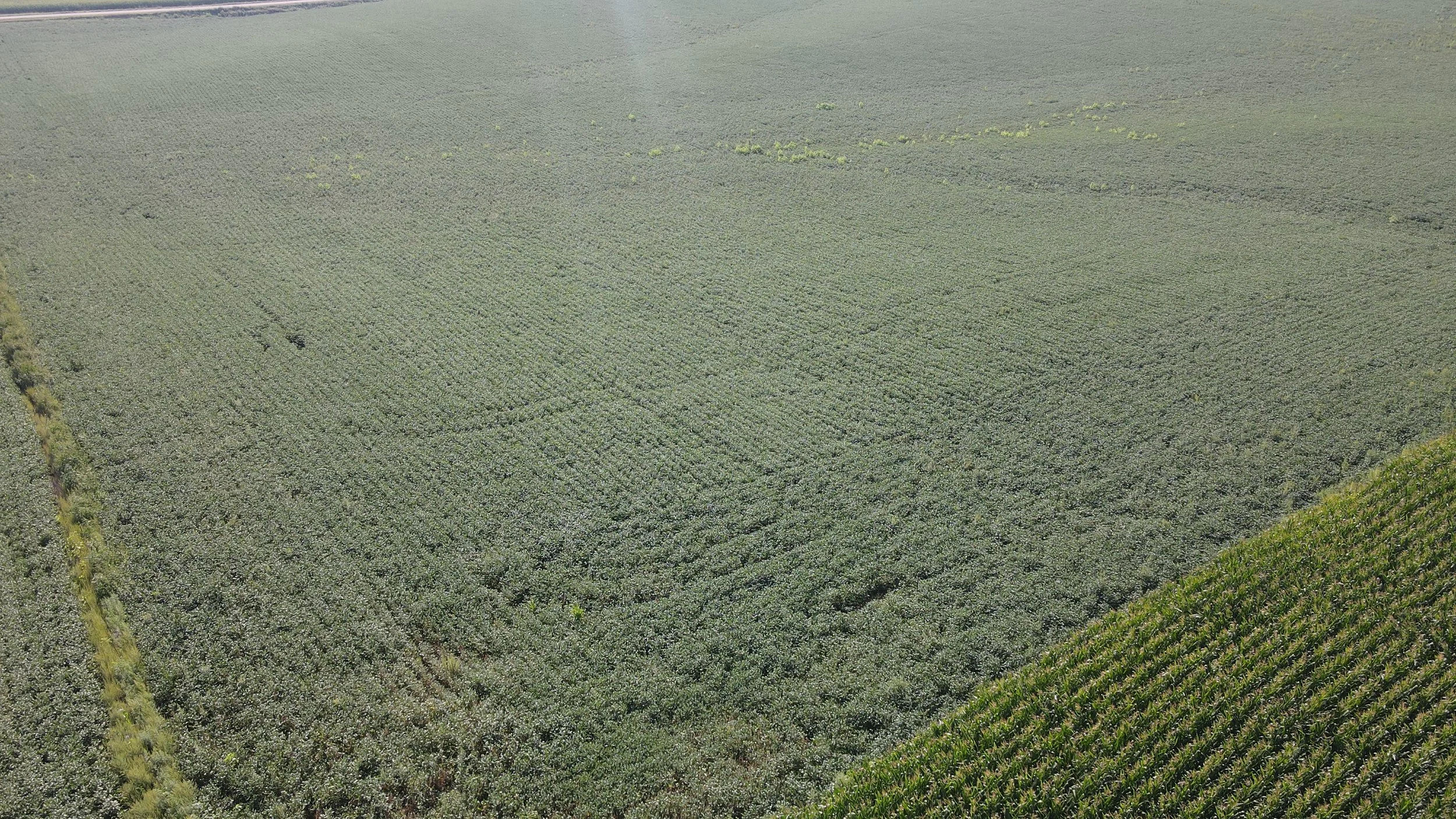 dji_fly_20230823_095840_230_1692802735165_photo.jpg