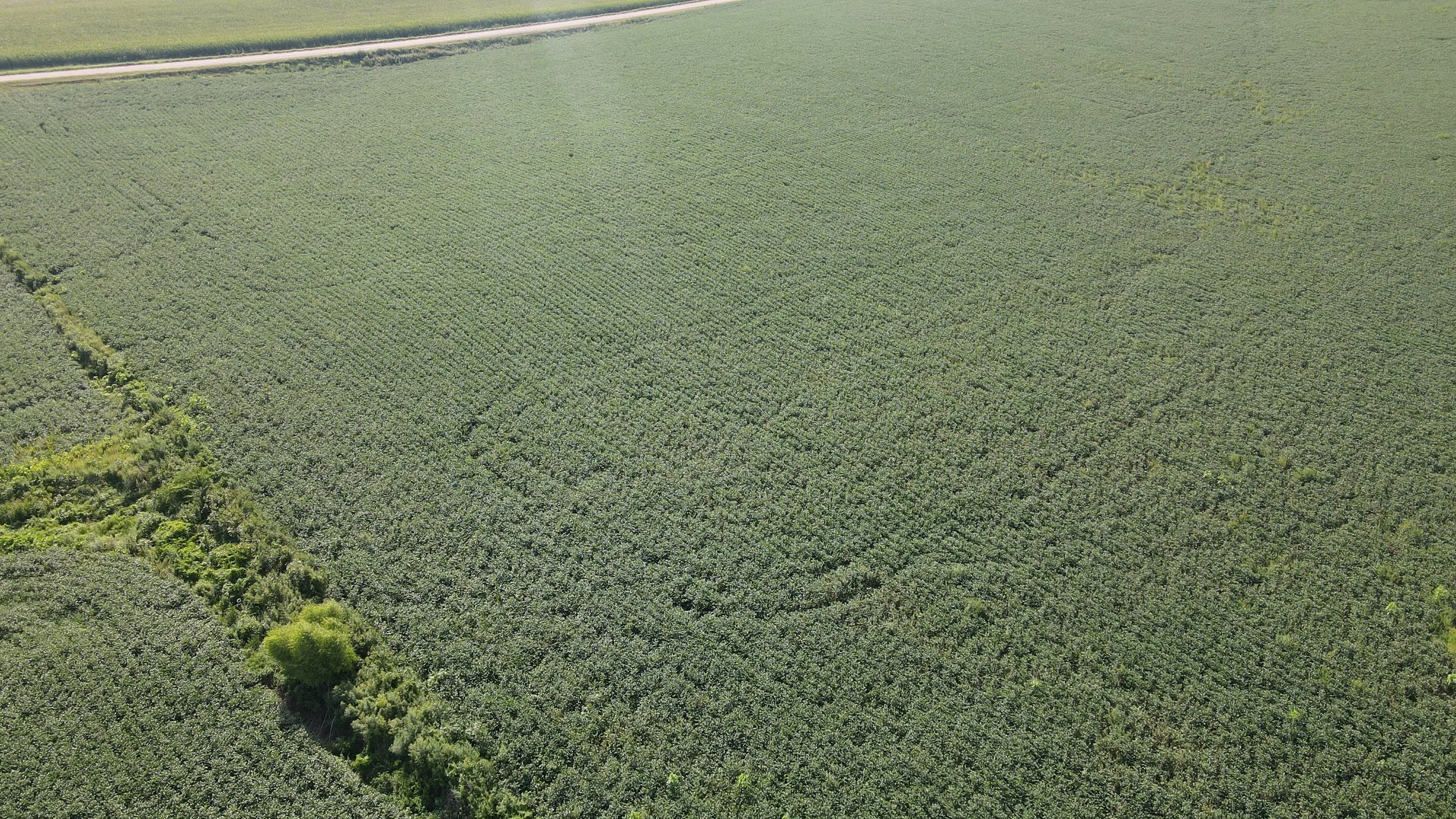 dji_fly_20230823_095908_231_1692802760863_photo.jpg