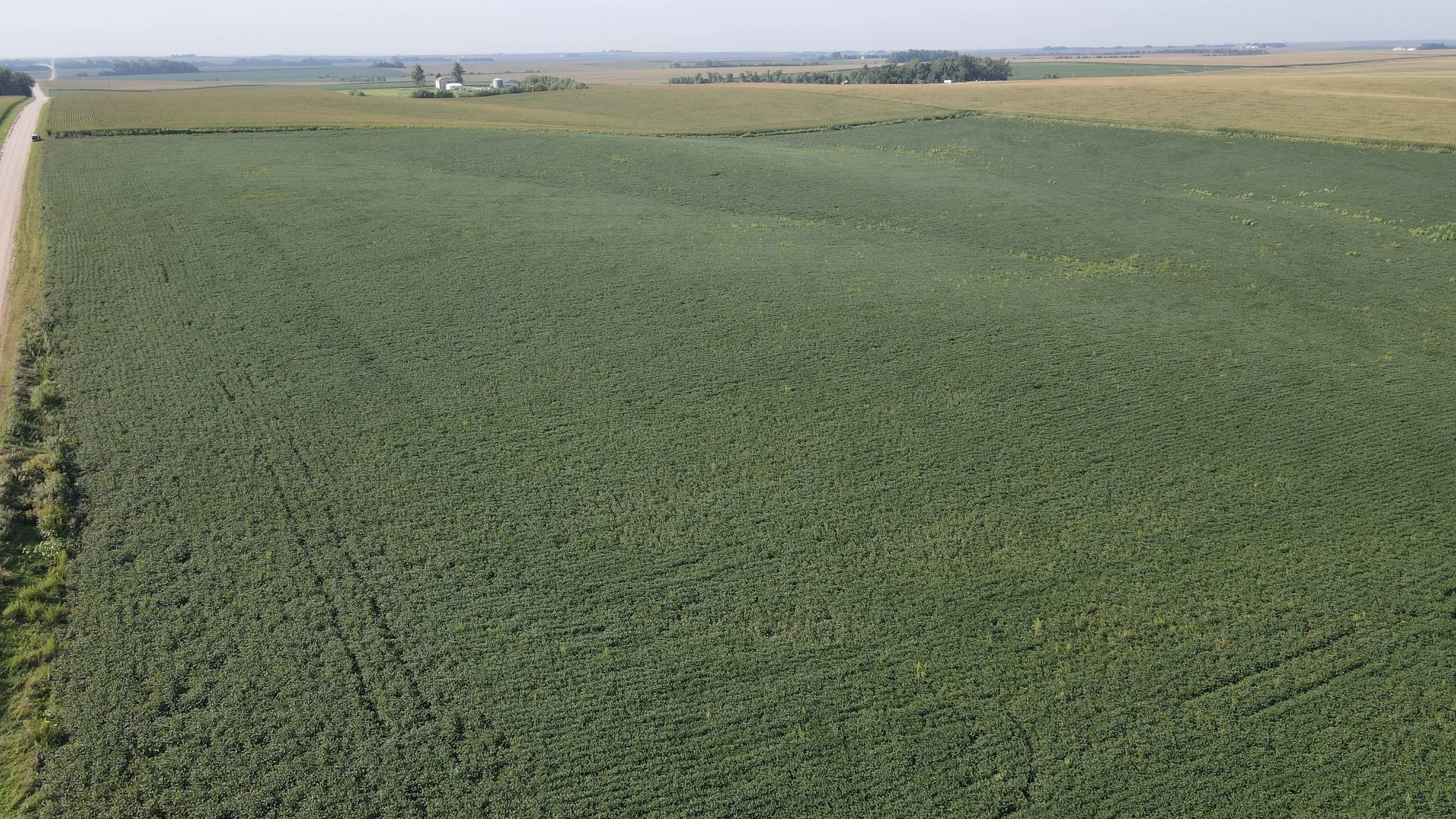 dji_fly_20230823_095942_232_1692802799020_photo.jpg