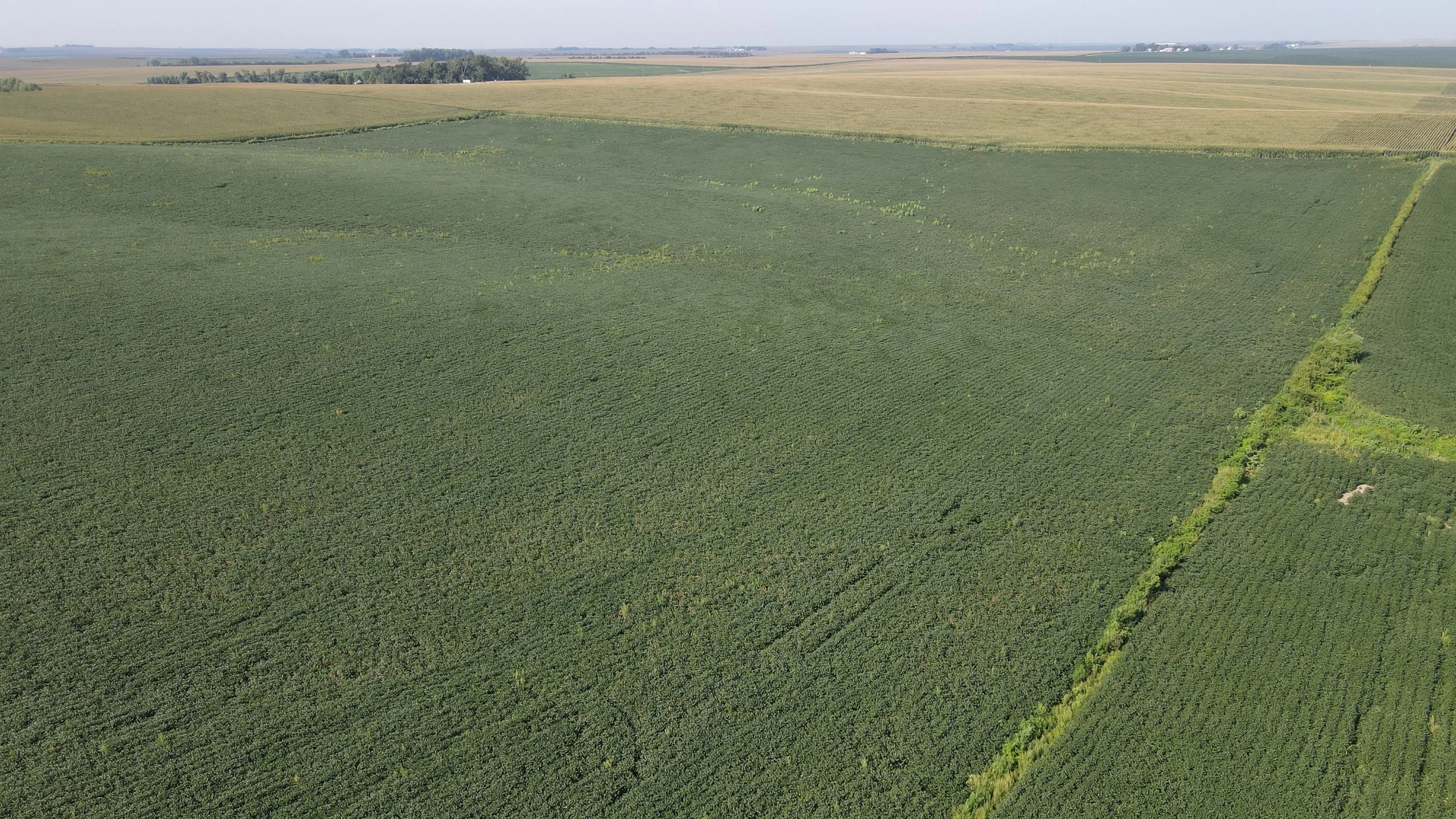 dji_fly_20230823_095946_233_1692802803408_photo.jpg