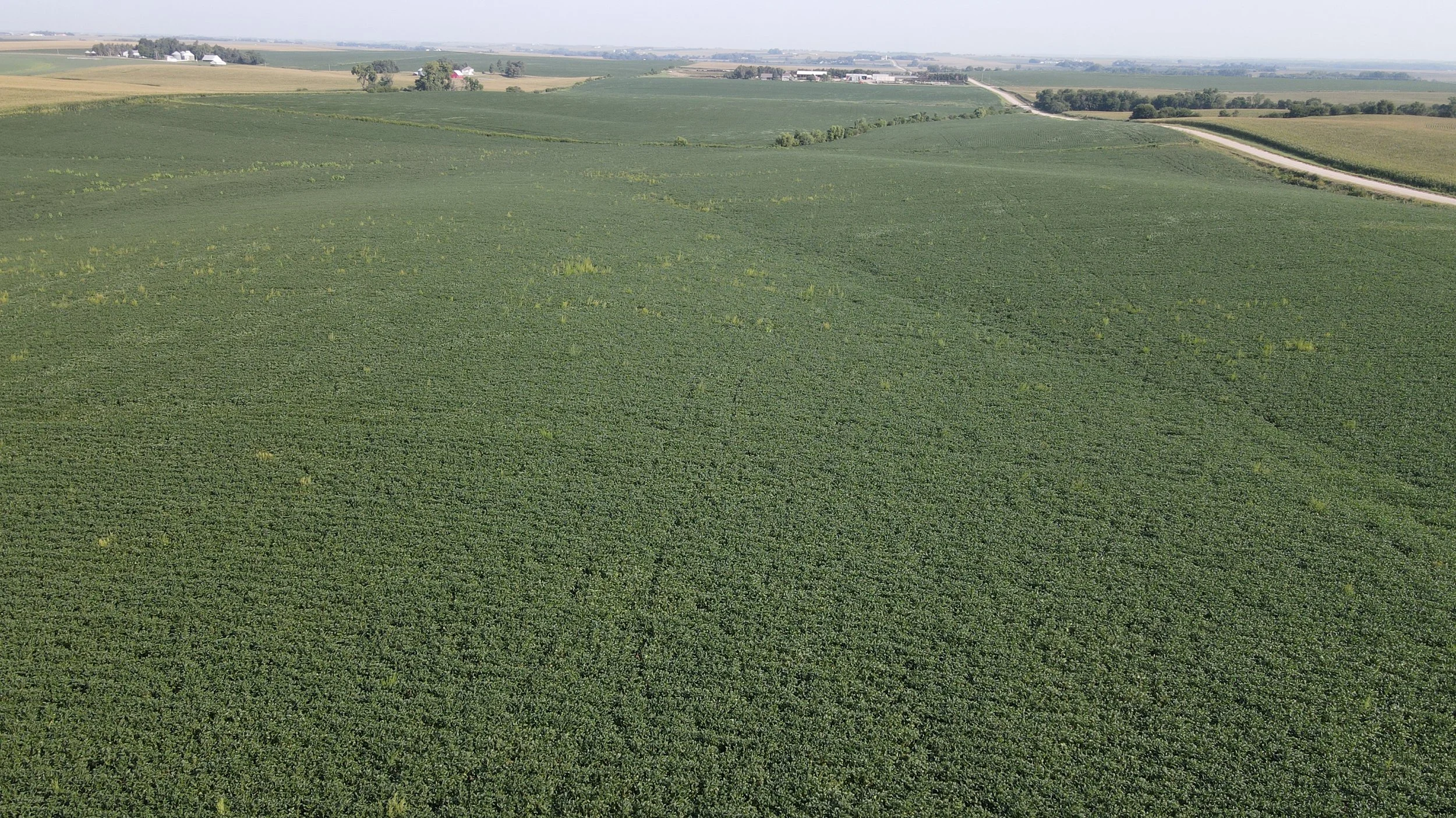 dji_fly_20230823_095652_226_1692802631134_photo.jpg
