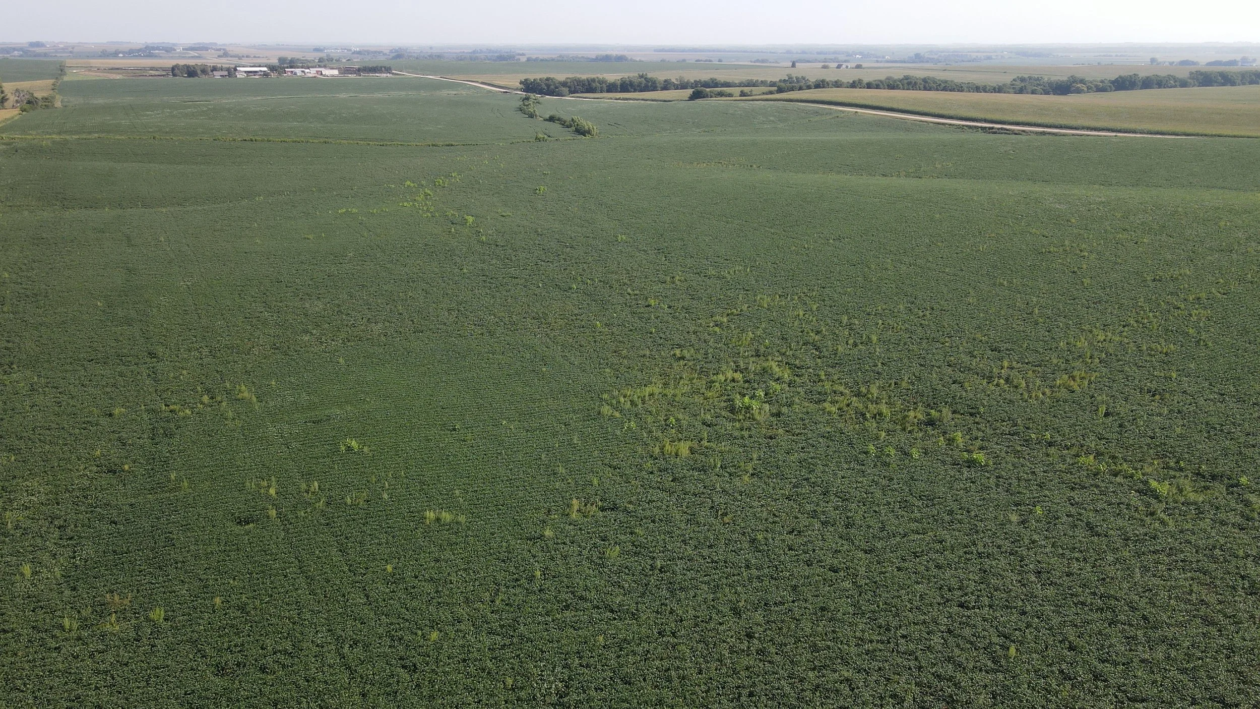 dji_fly_20230823_095728_227_1692802663451_photo.jpg