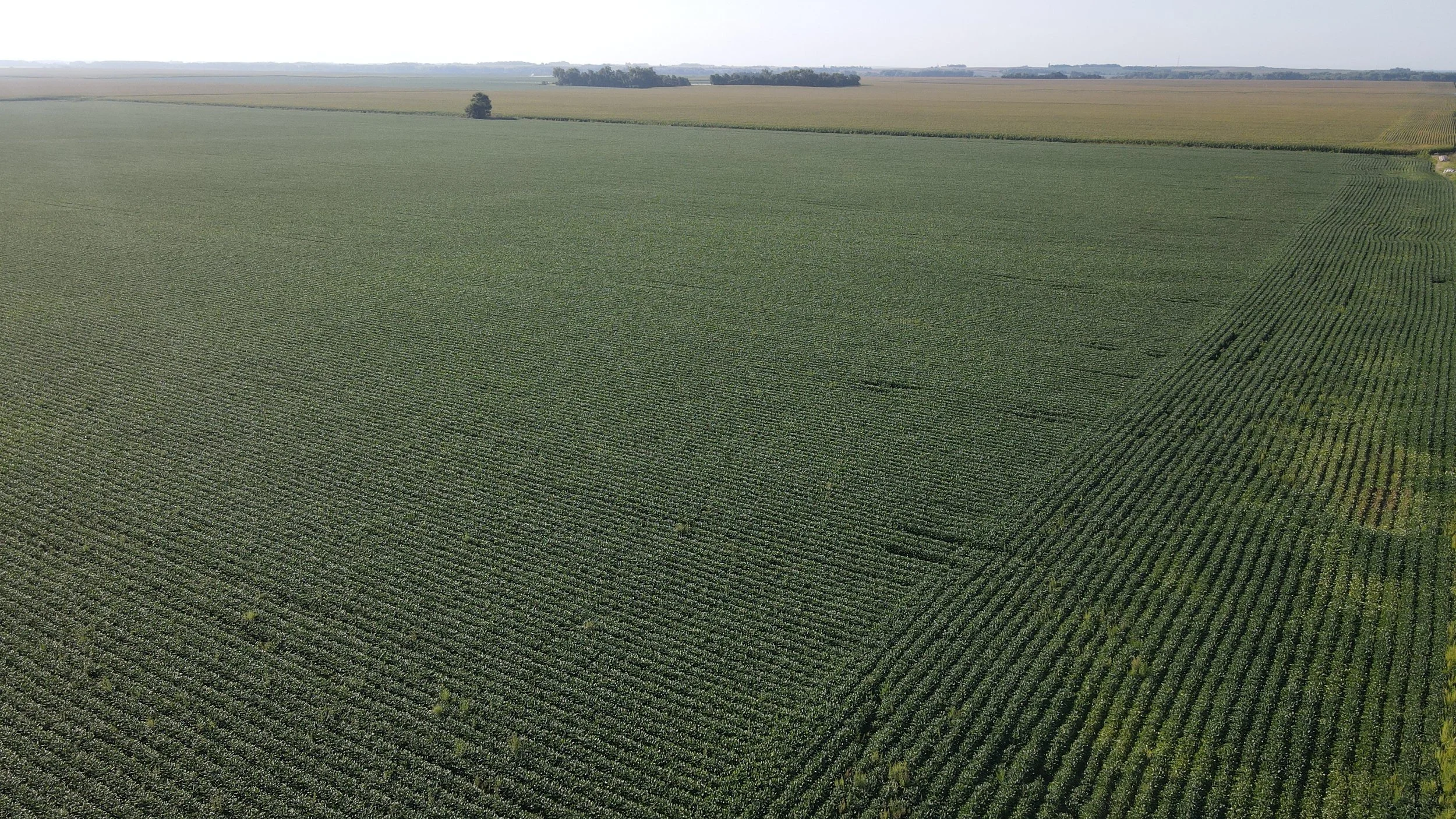 dji_fly_20240826_090416_355_1724681074689_photo.jpg