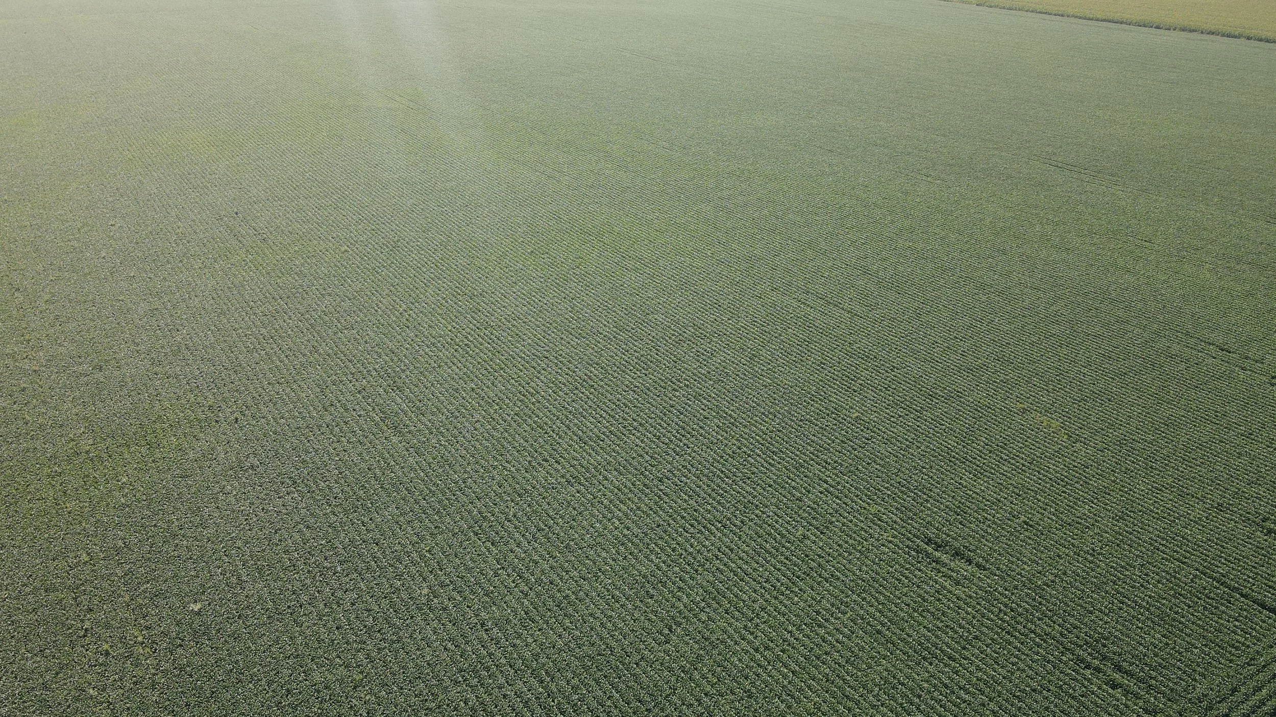 dji_fly_20240826_090442_356_1724681097721_photo.jpg