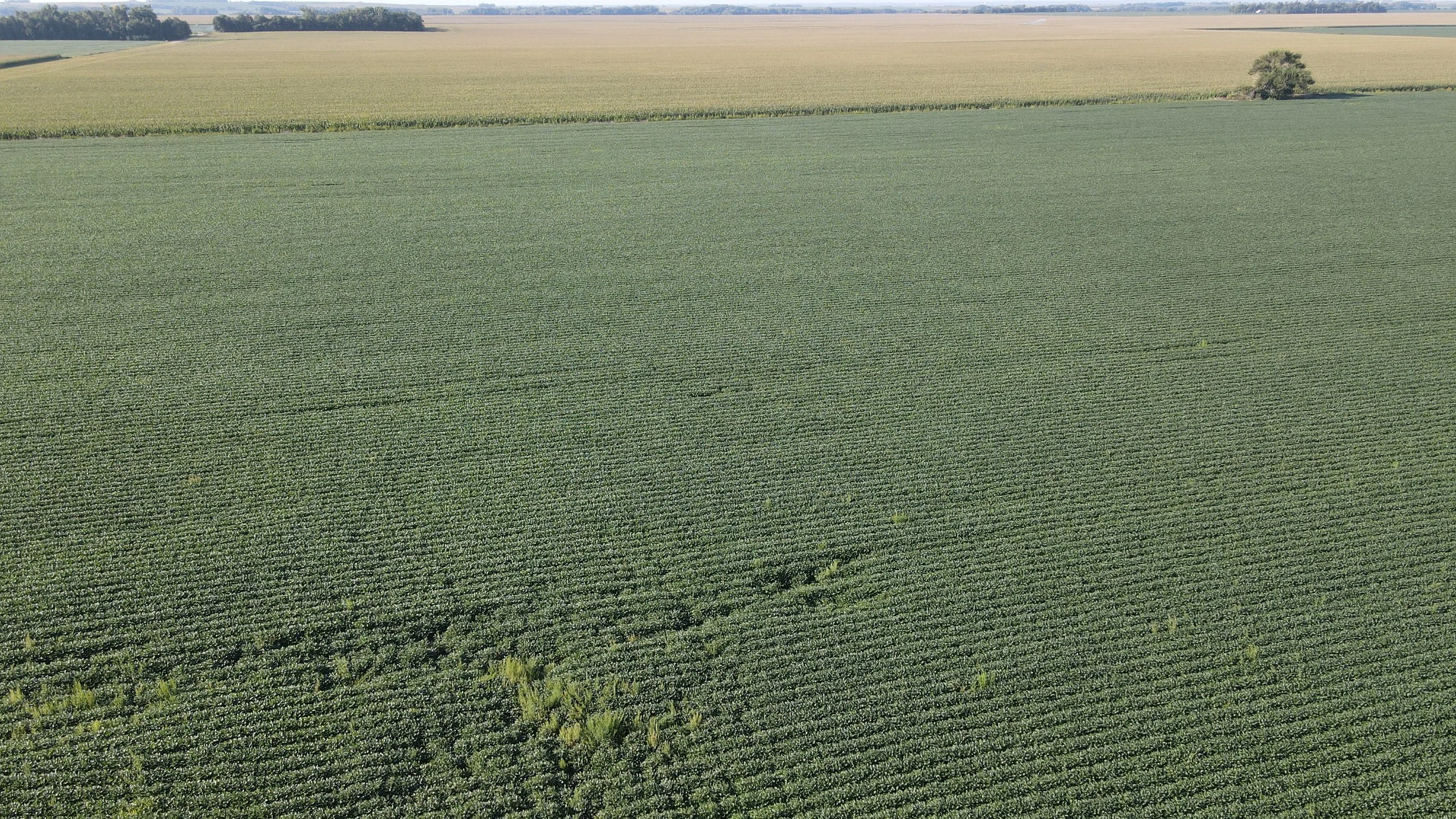 dji_fly_20240826_090558_357_1724681243456_photo.jpg