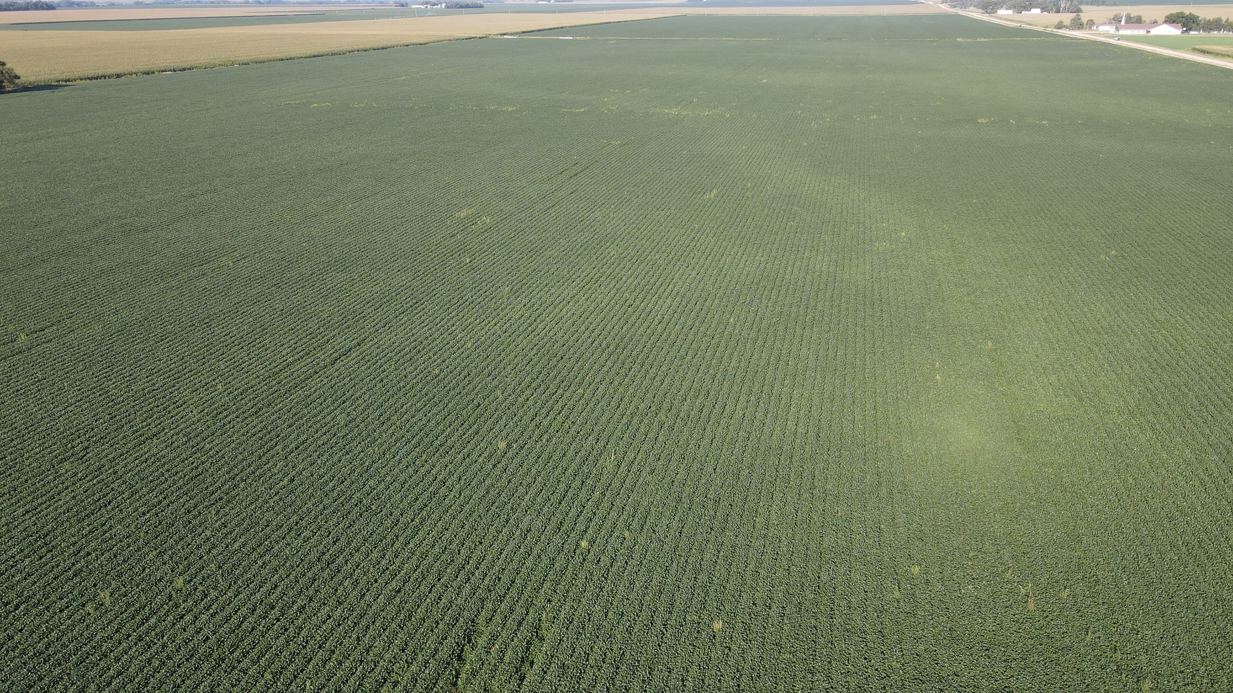 dji_fly_20240826_090606_358_1724681265660_photo.jpg