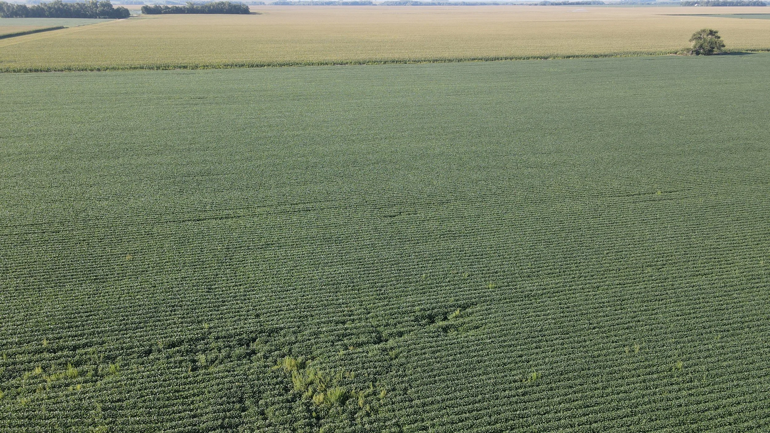 dji_fly_20240826_090612_359_1724681273775_photo.jpg