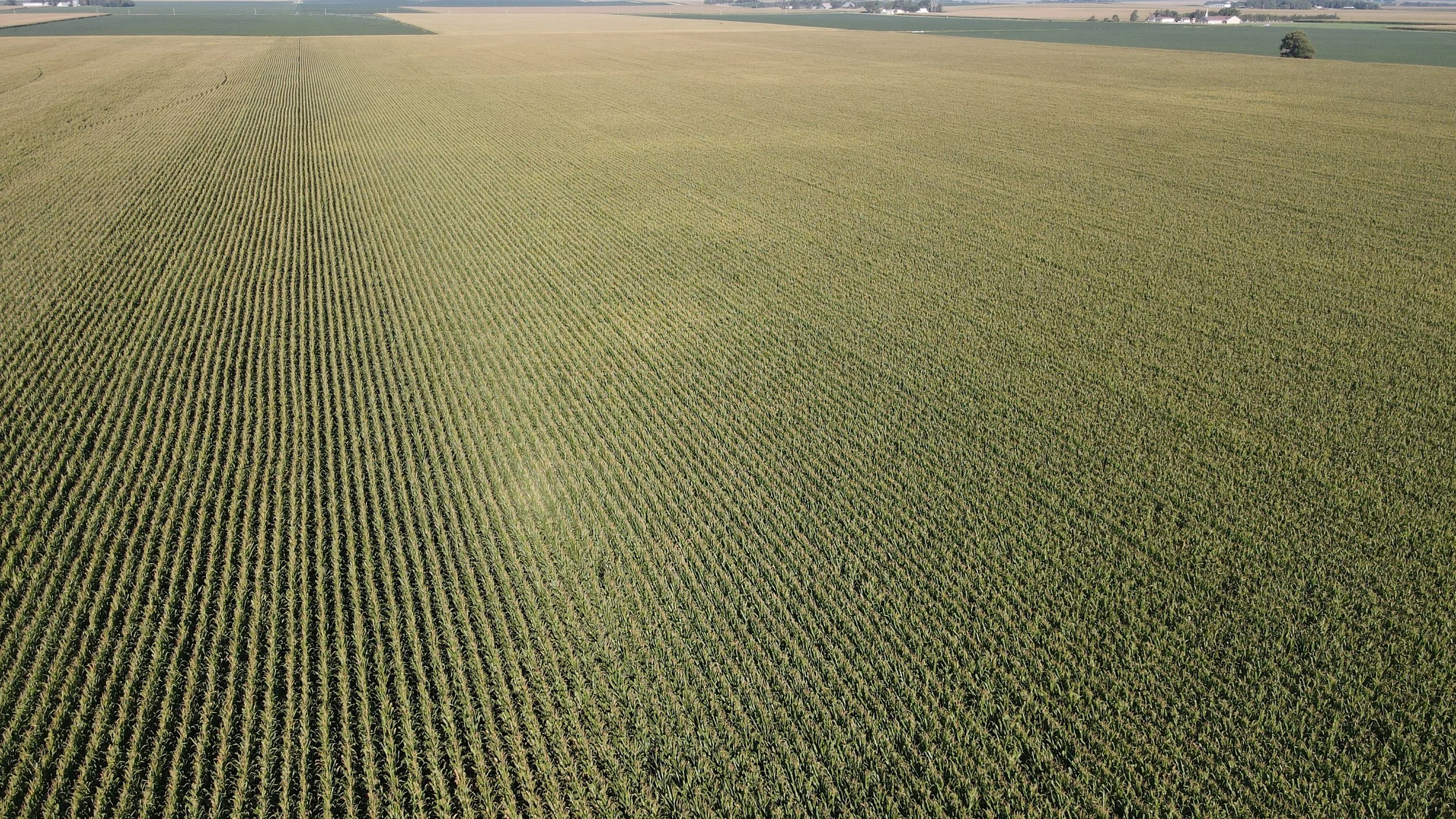 dji_fly_20240826_090720_360_1724681280451_photo.jpg