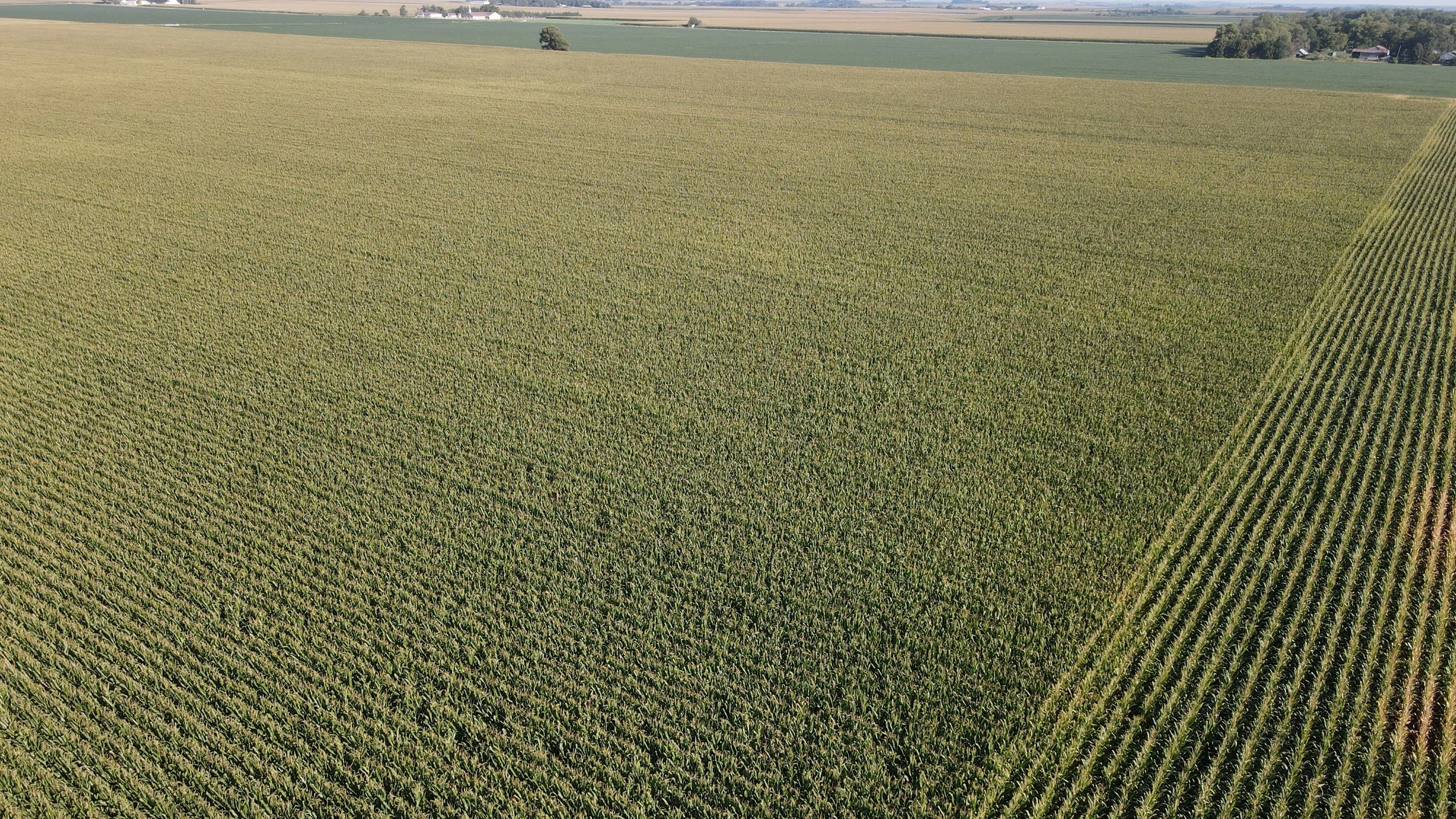 dji_fly_20240826_090728_361_1724681286603_photo.jpg