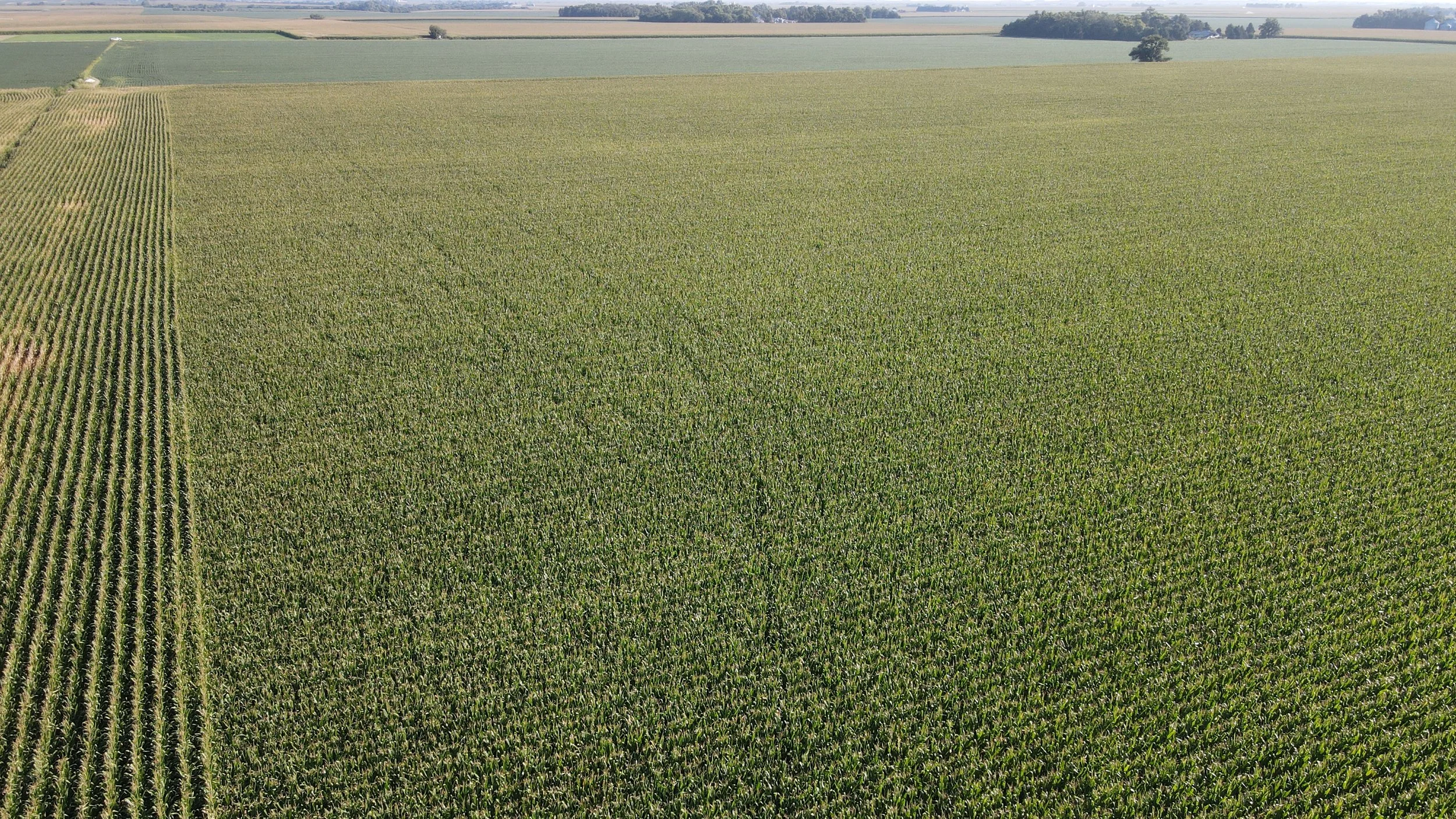 dji_fly_20240826_090924_362_1724681388645_photo.jpg