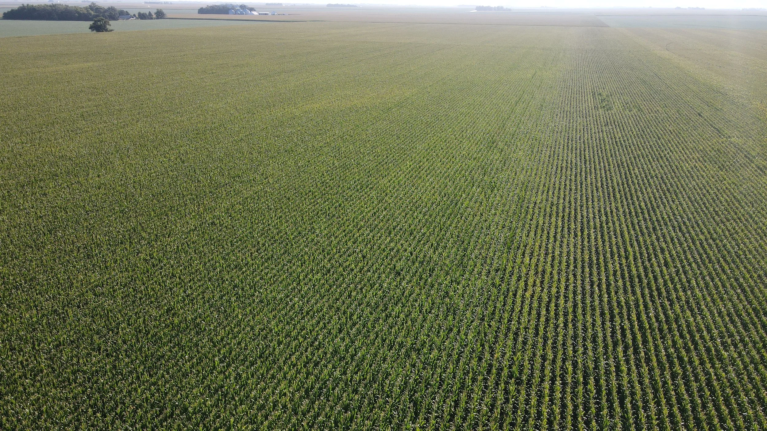 dji_fly_20240826_090930_363_1724681394288_photo.jpg
