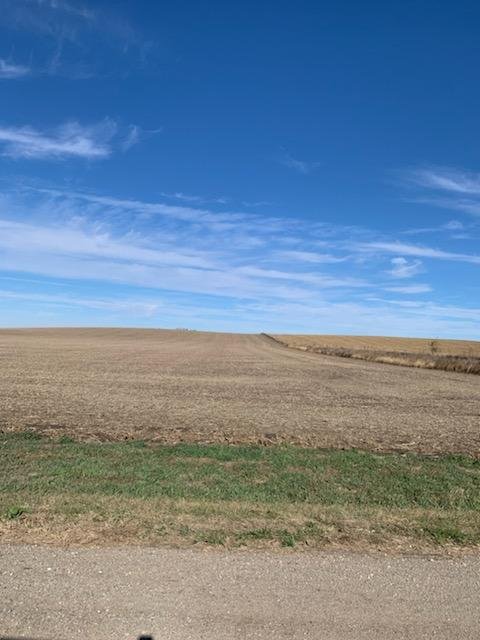 IMG_1339.jpg