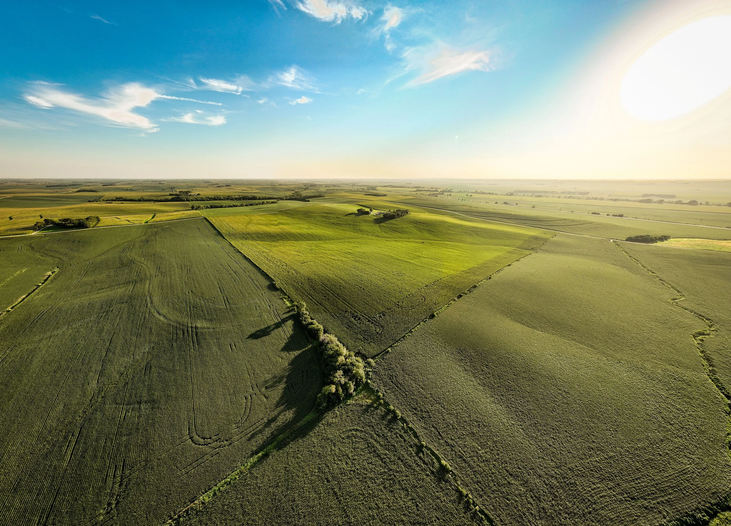 Uehling Land SECT 2-3.jpg