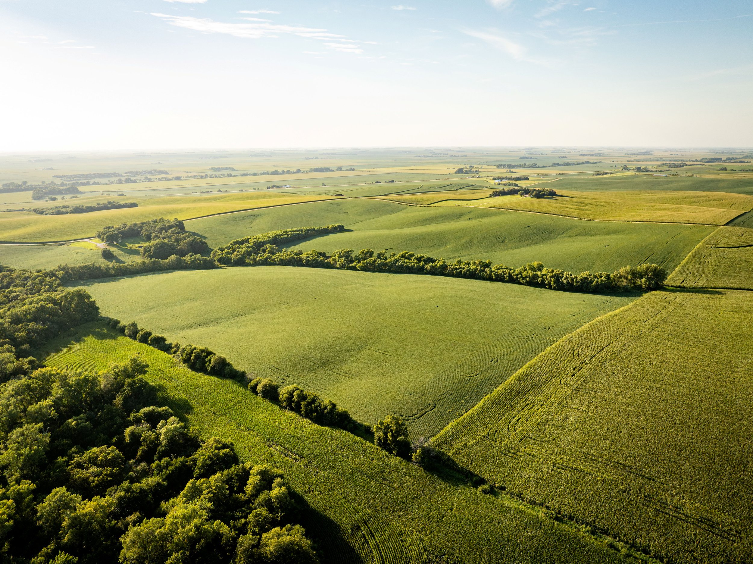 Uehling Land SECT 1-07.jpg