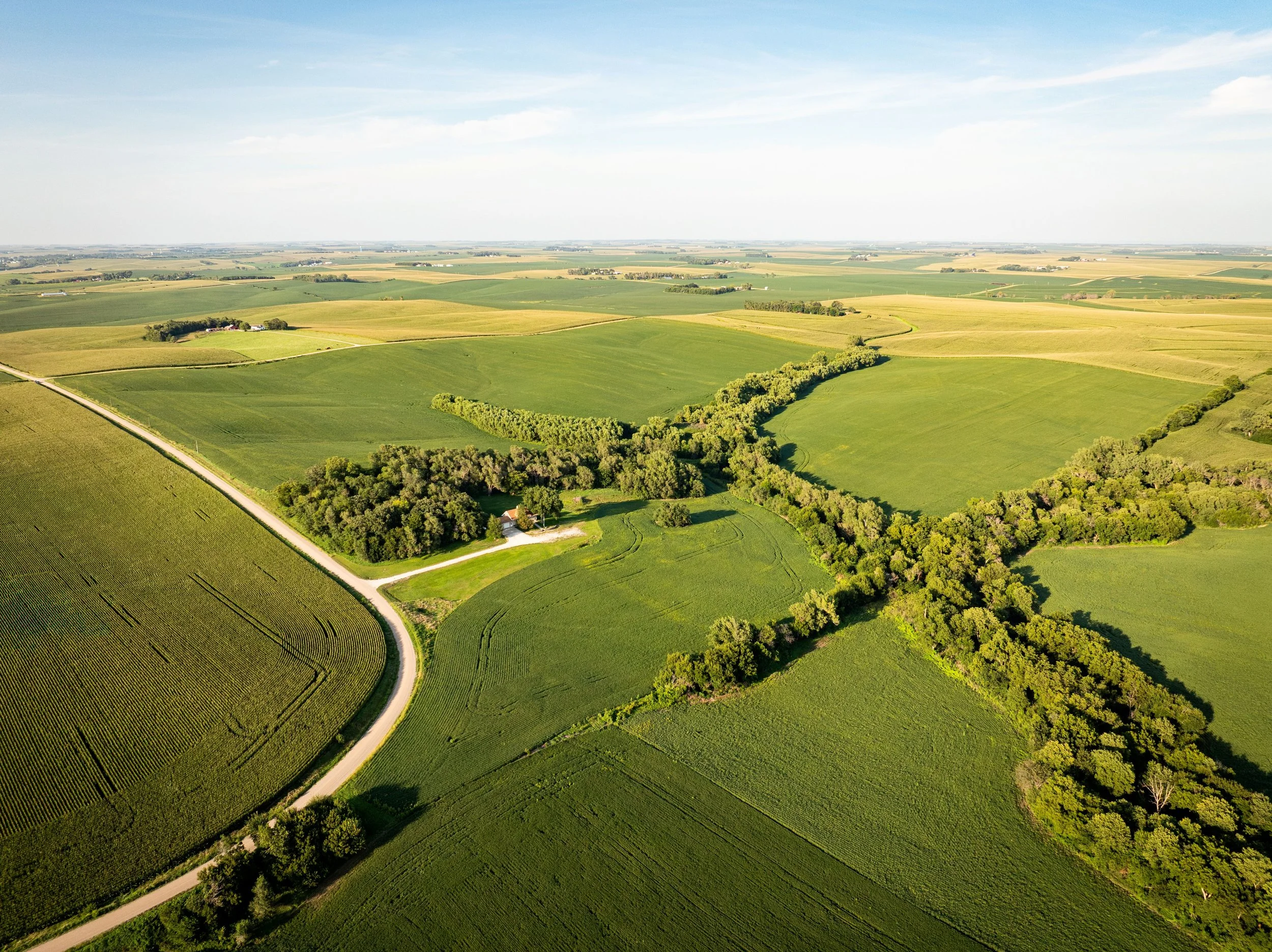 Uehling Land SECT 1-06.jpg