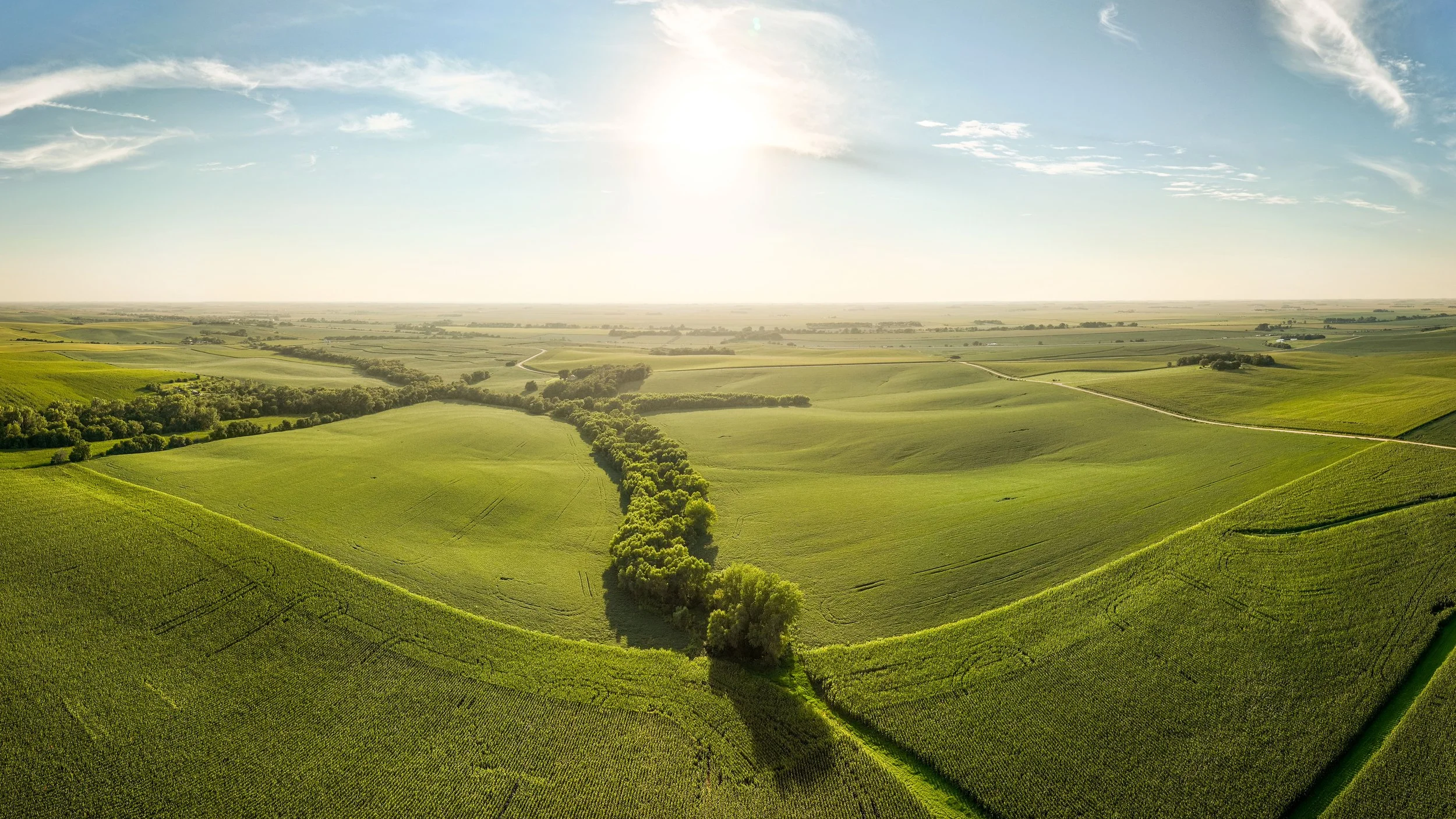 Uehling Land SECT 1-08.jpg