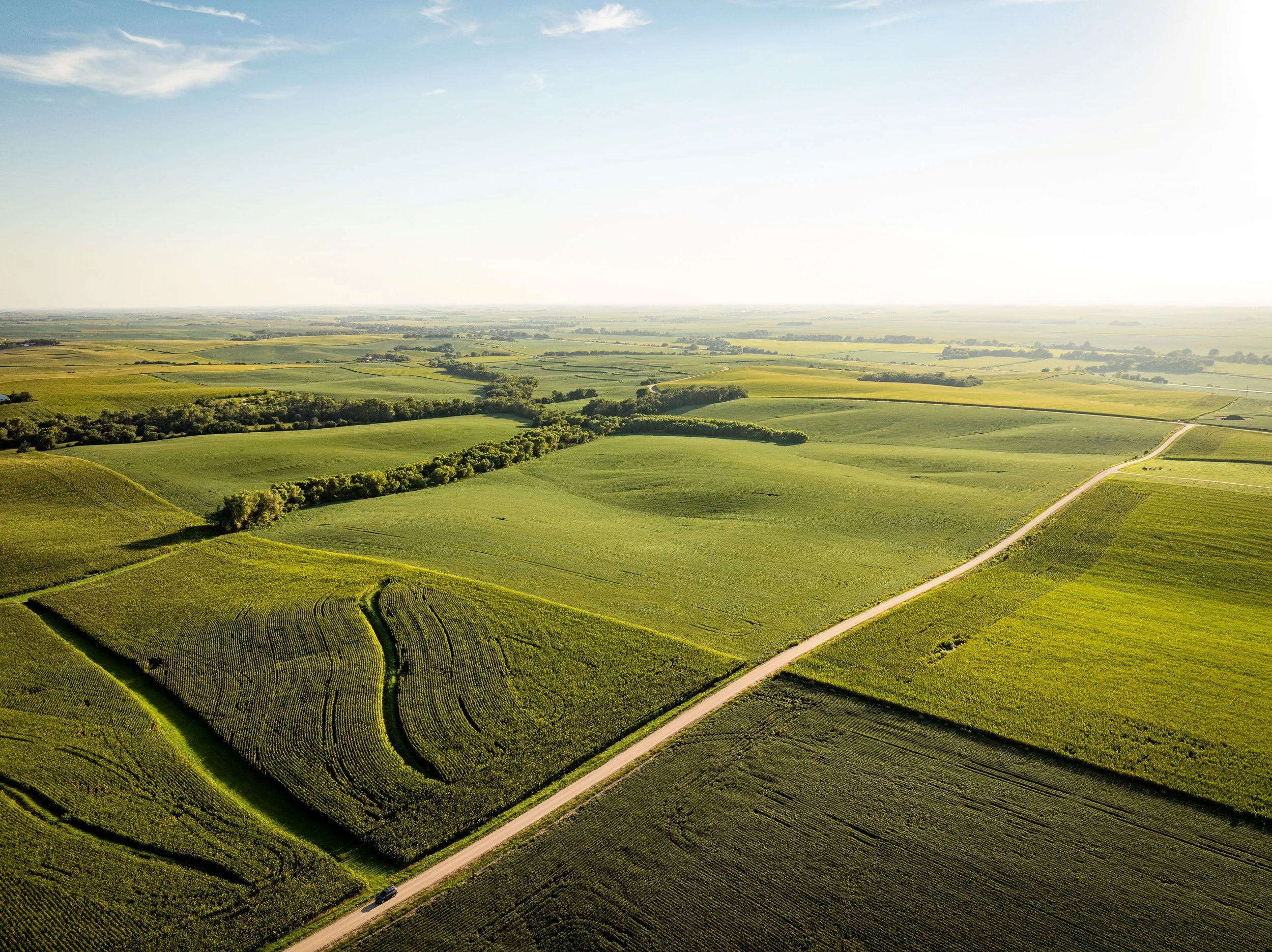 Uehling Land SECT 1-10.jpg