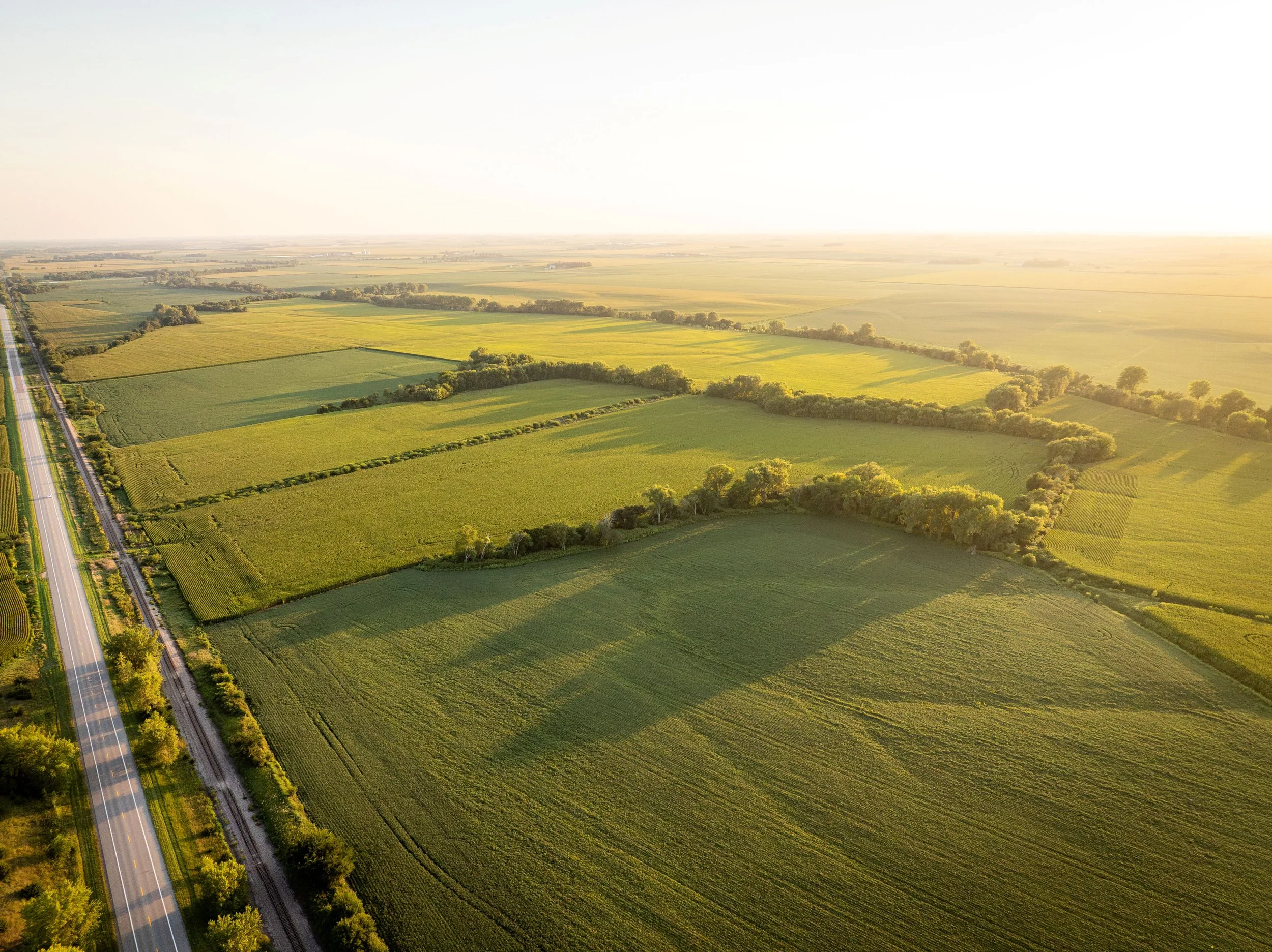 Uehling Land SECT 4-1.jpg