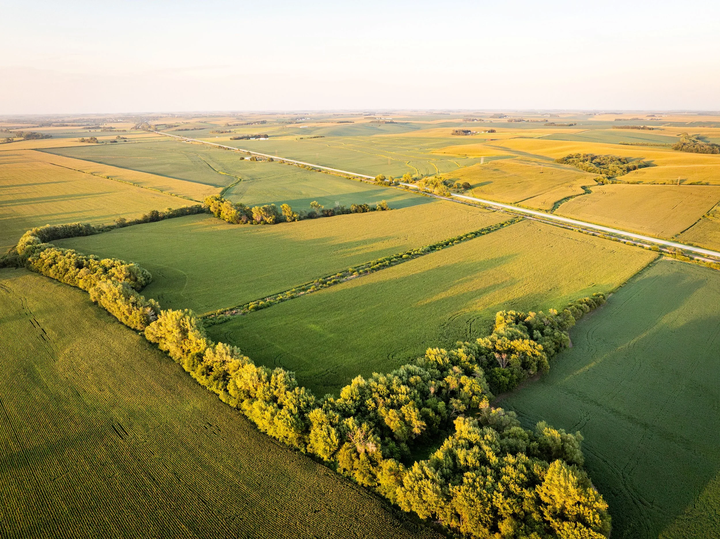 Uehling Land SECT 4-2.jpg