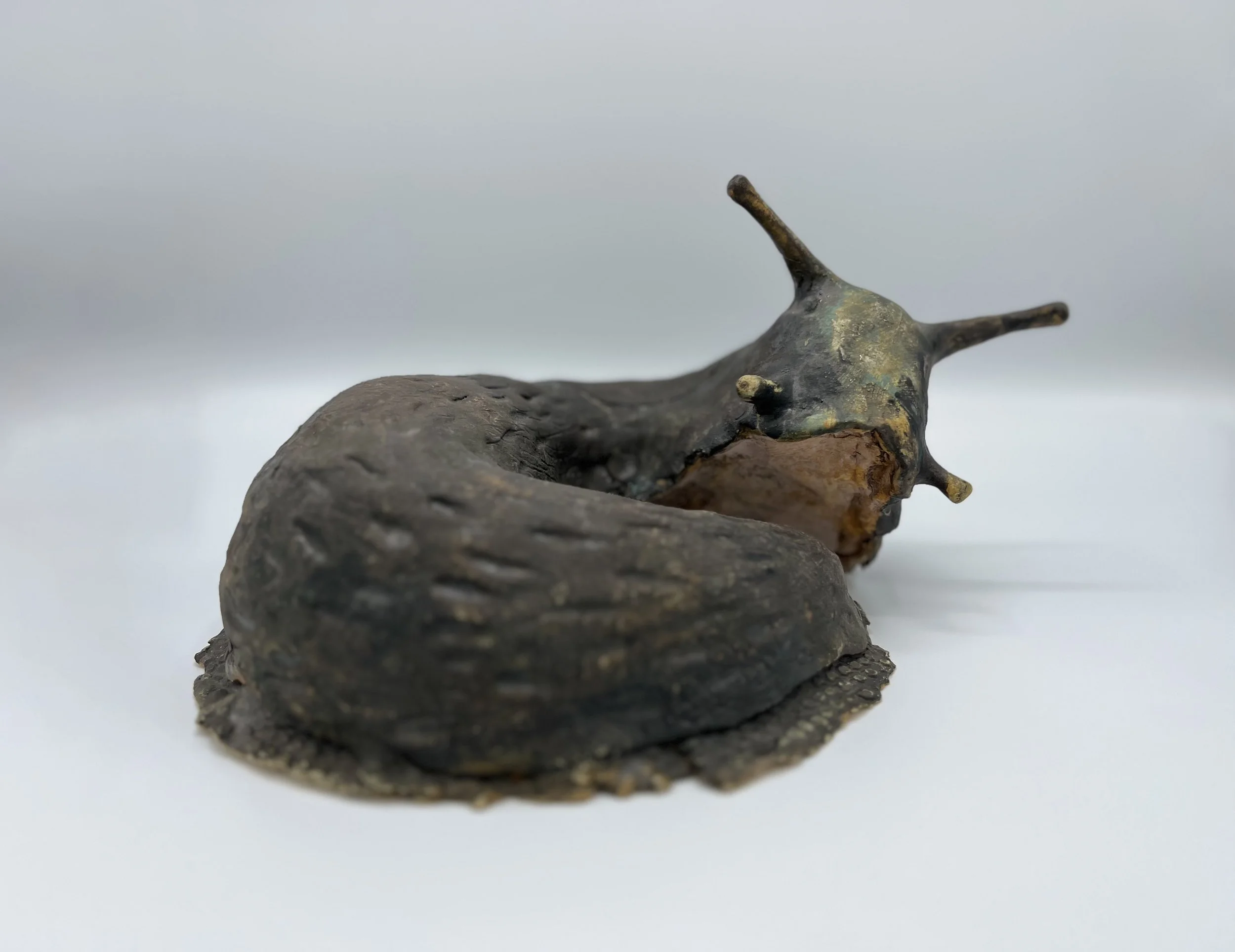Sara Budzik Sleepy Slug.jpg