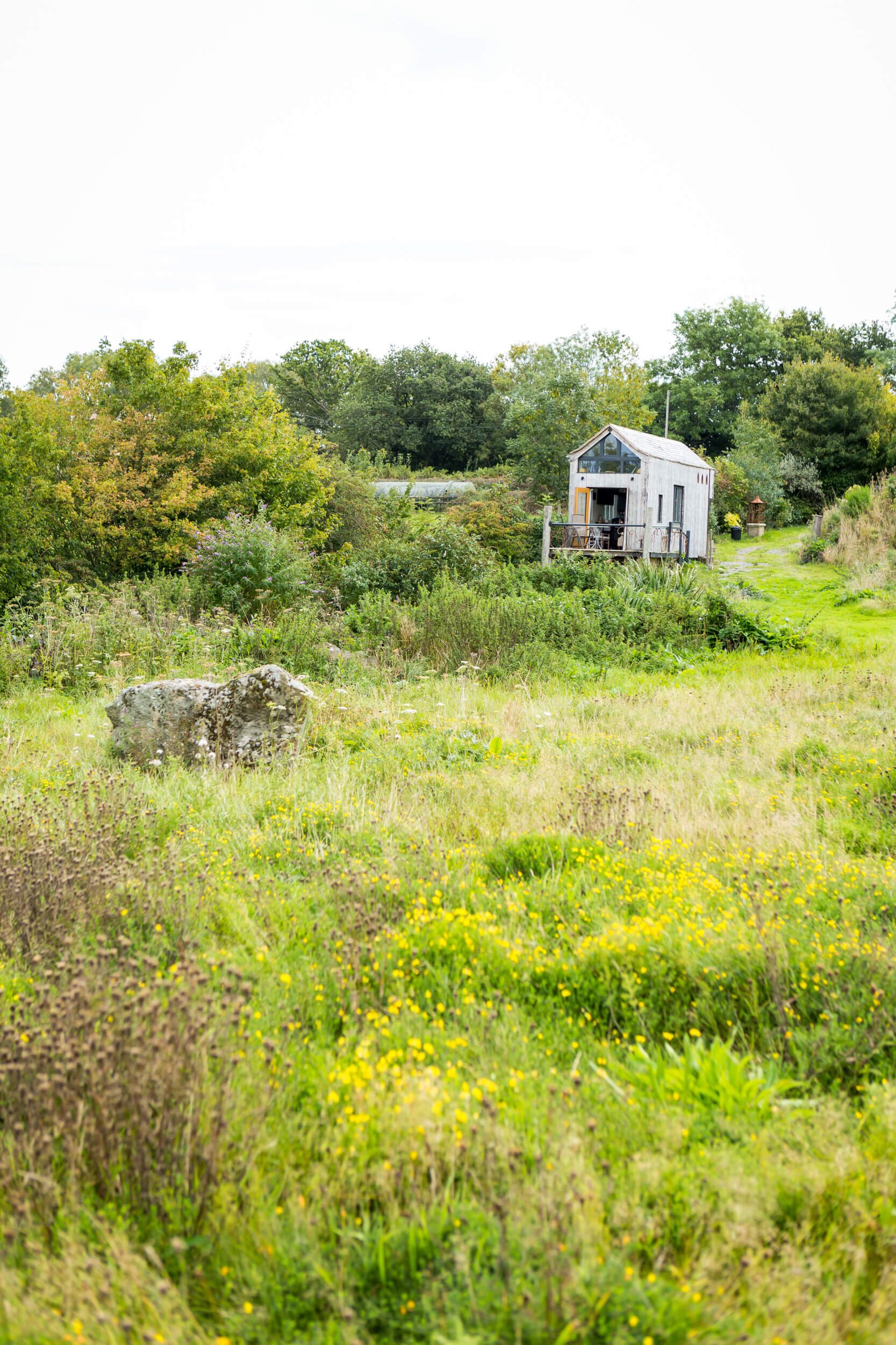 Eco Pavilions NaviHo UK Tiny Home Exterior Tiny Home in Rewilded UK.jpg