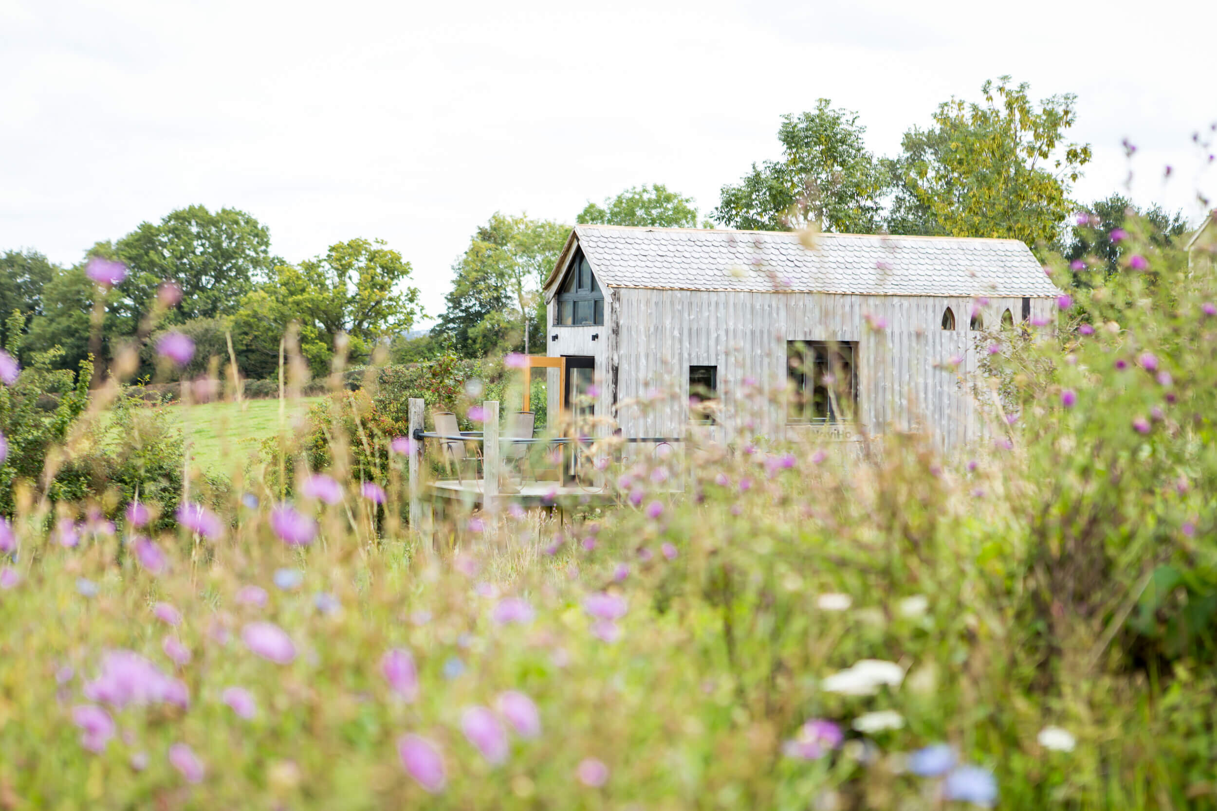 Dragonfly X NaviHo Tiny Home in Rewilded Landscape.jpg