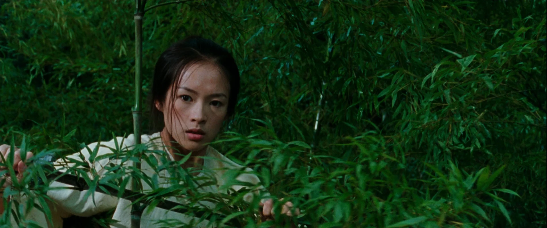 Crouching Tiger Hidden Dragon Bamboo Forest Fight