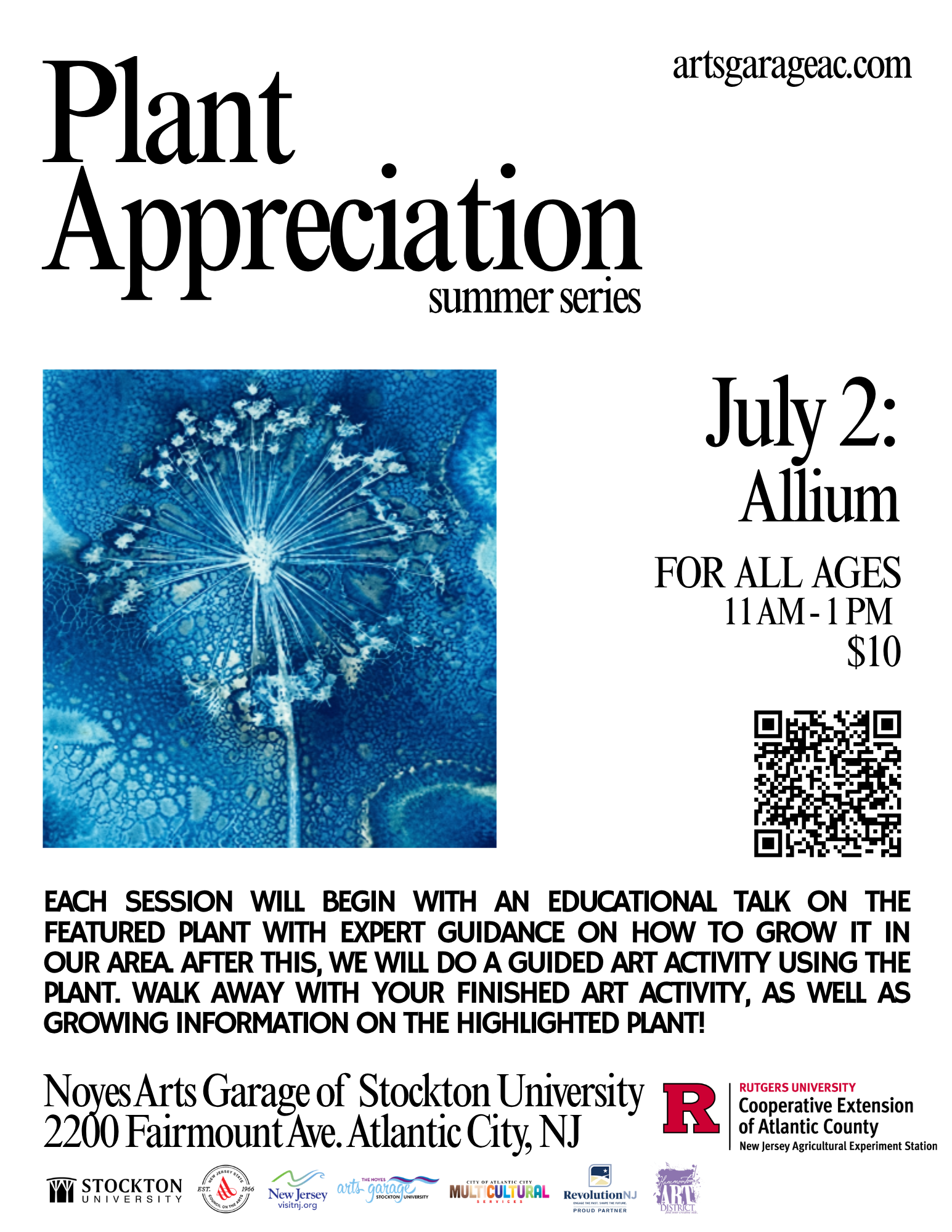 July 2 - Allium .png