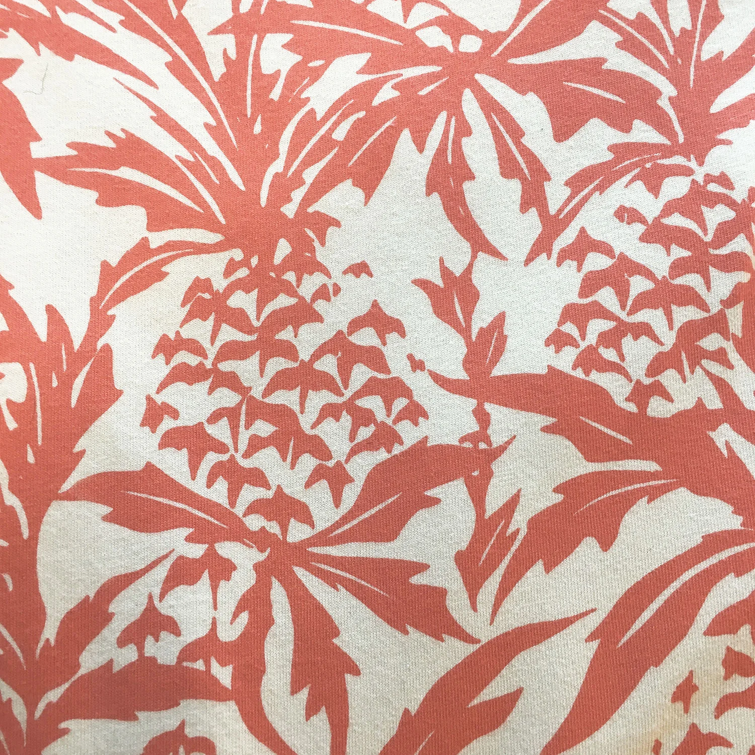 Ananas.coral.closeup.websitepic.jpg