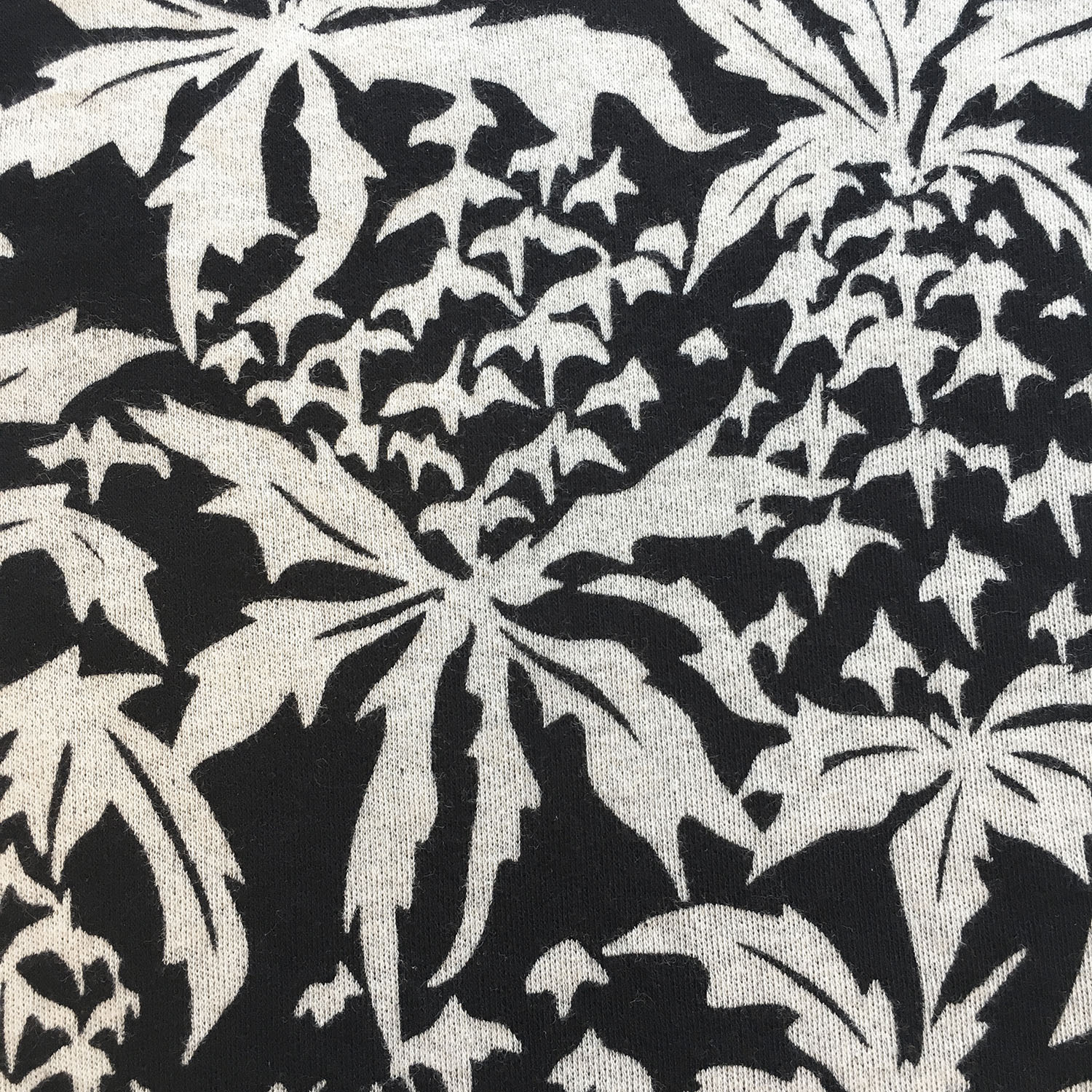 Ananas.closeup.website.jpg