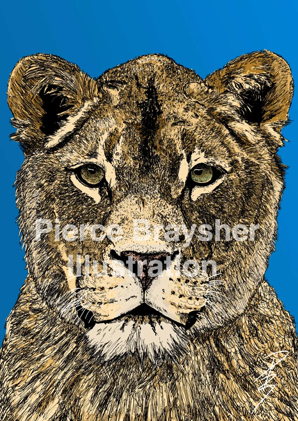 The Lioness