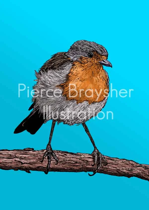 Robin
