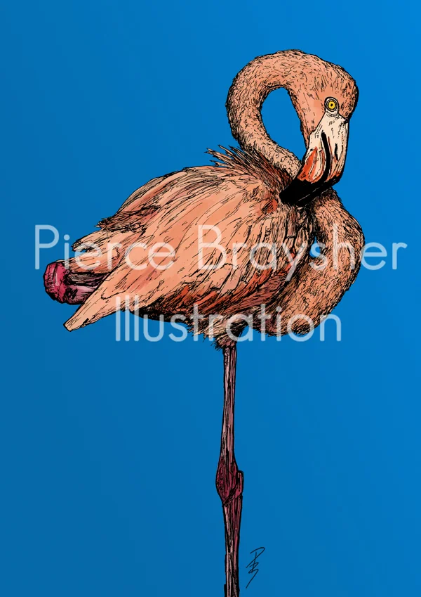 The Flamboyant Bird