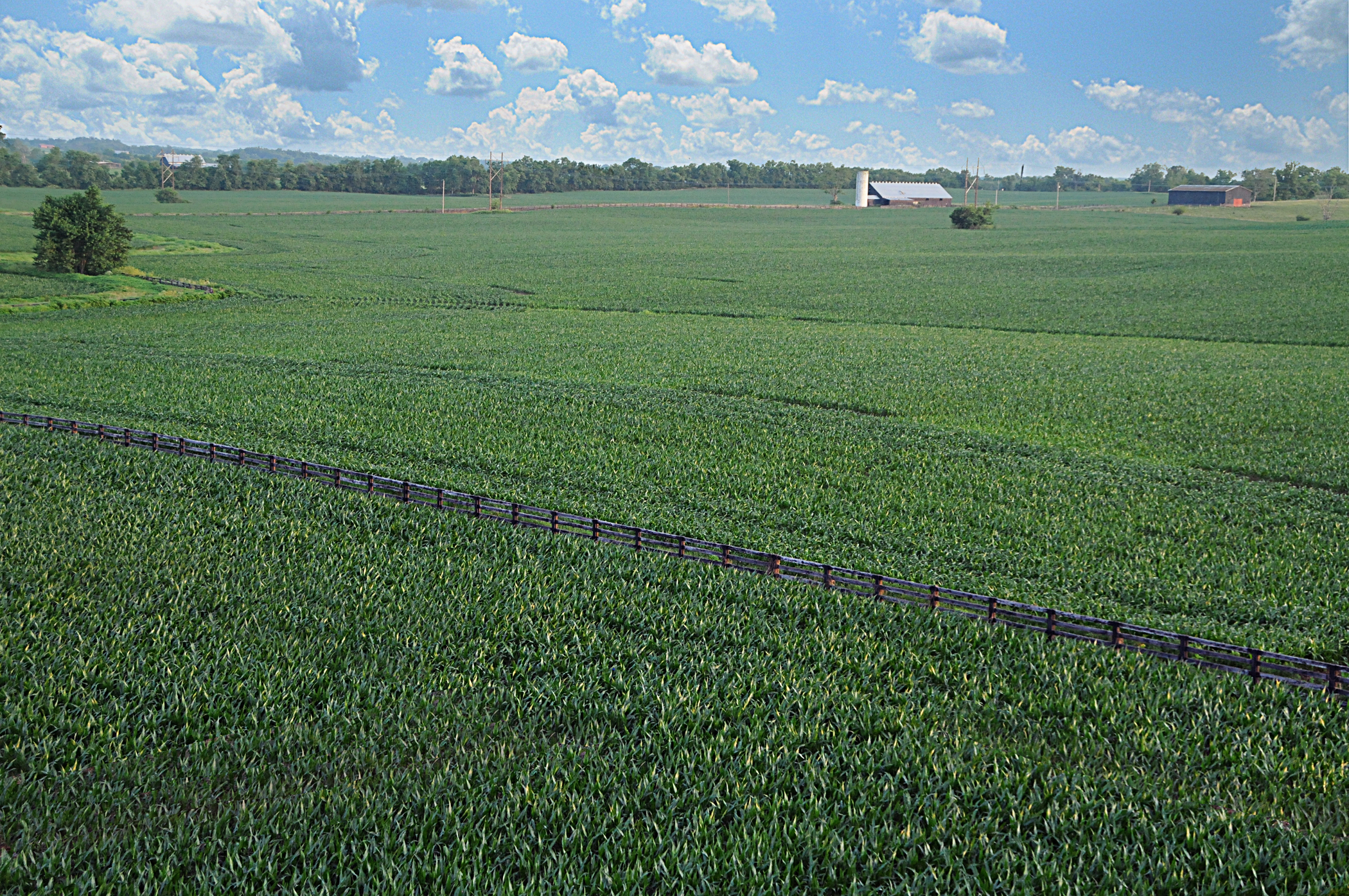 AndersonCircleFarms2.jpg
