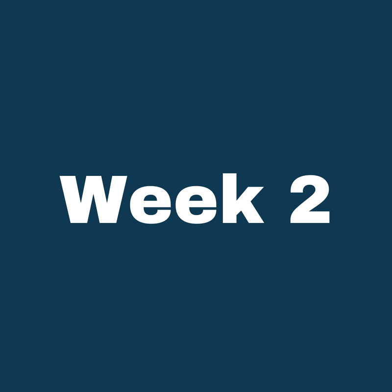 Week 1 (1).png