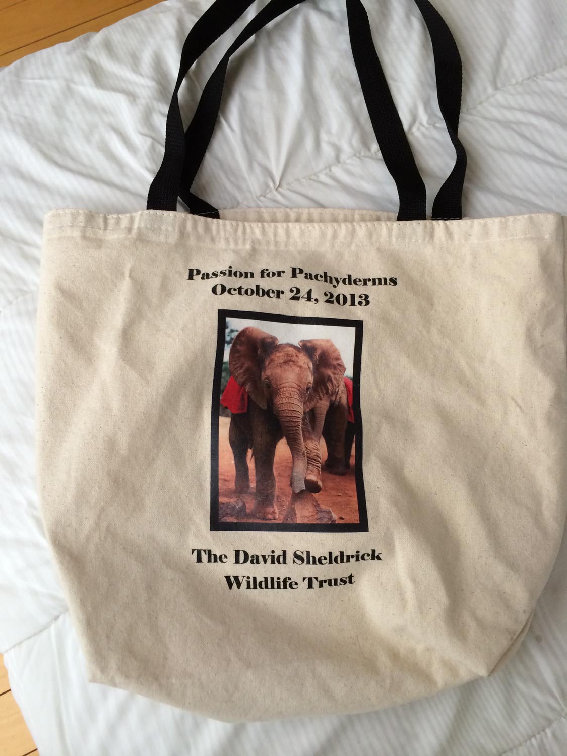 Passionforpachyderms.06.jpg