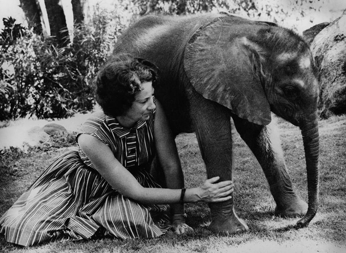 complement Custodian mill Passion for Pachyderms | The Passing of Dr. Dame Daphne Sheldrick