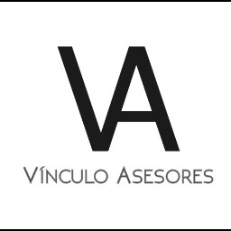 Vinculo Asesores.jpg