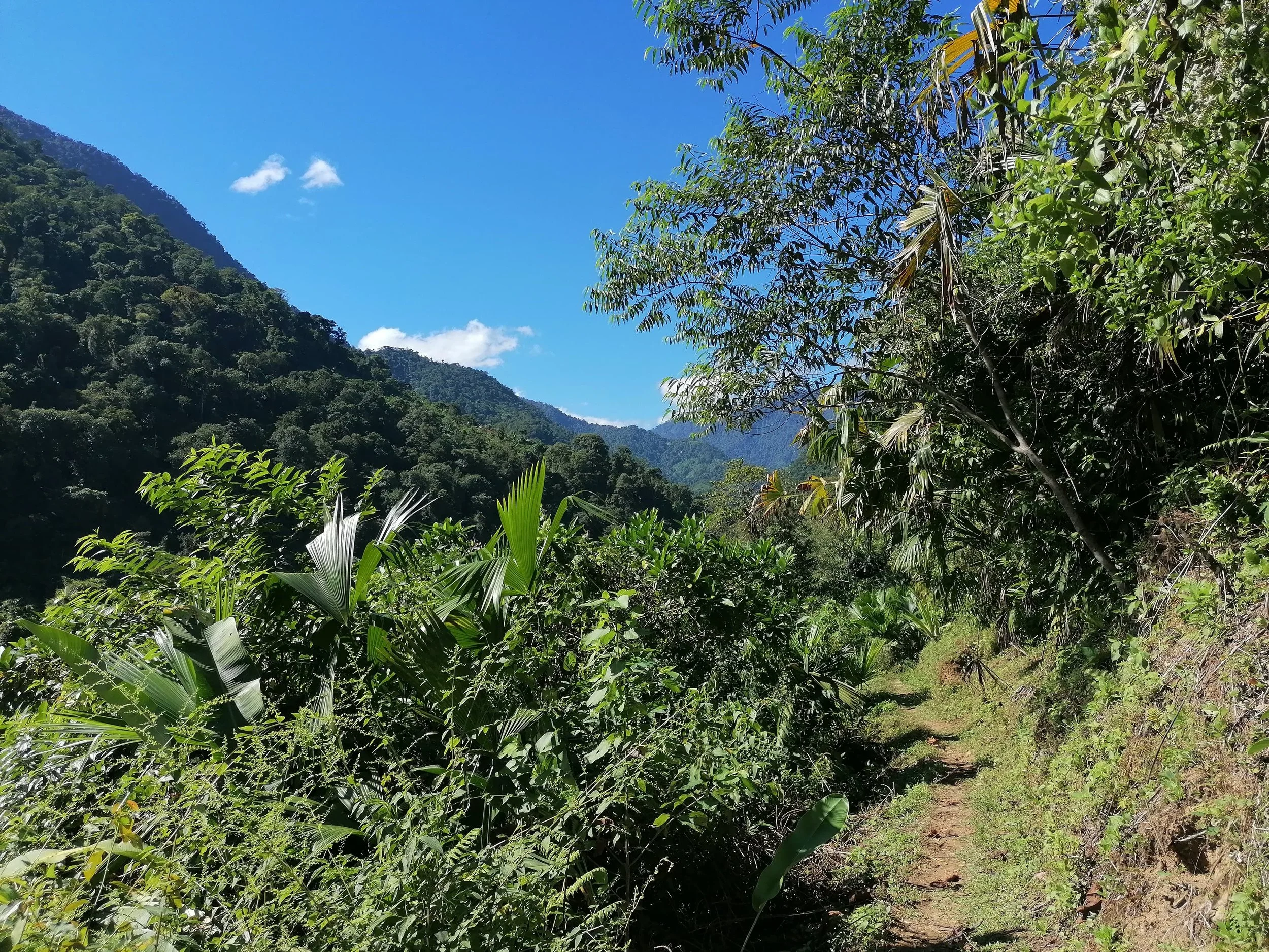 ¿Trabajar rico? Sí, con estrategia (de la buena)