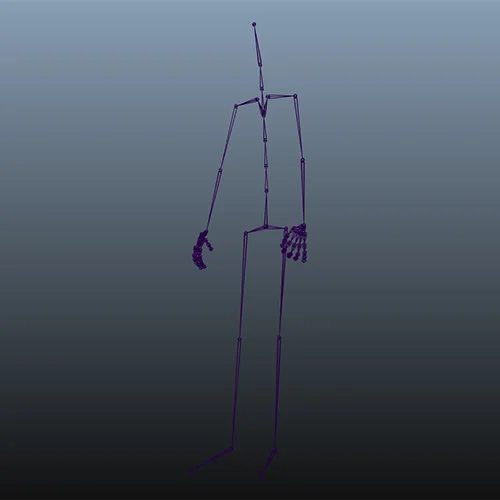 A typical skeleton generated by our performance capture.