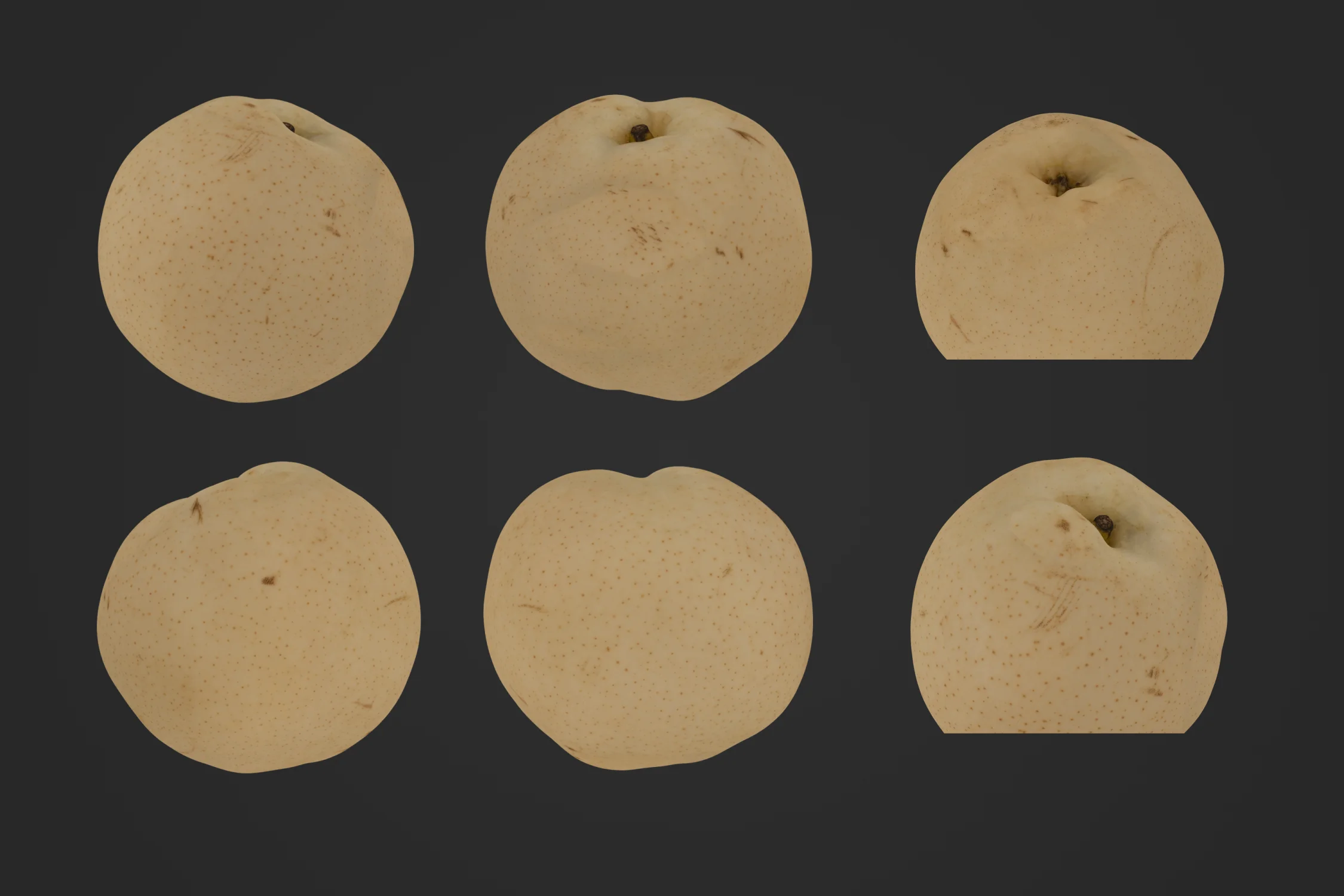 Chinese_Pear_1_1.jpg