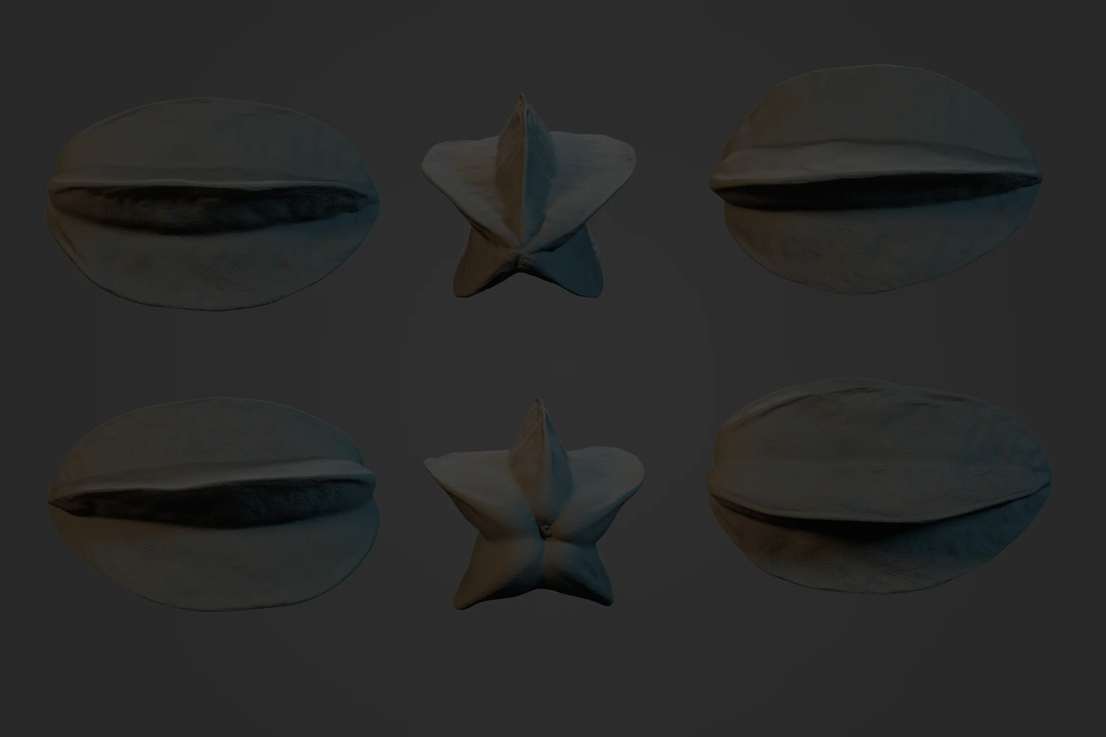 Star_Fruit_1_0.jpg