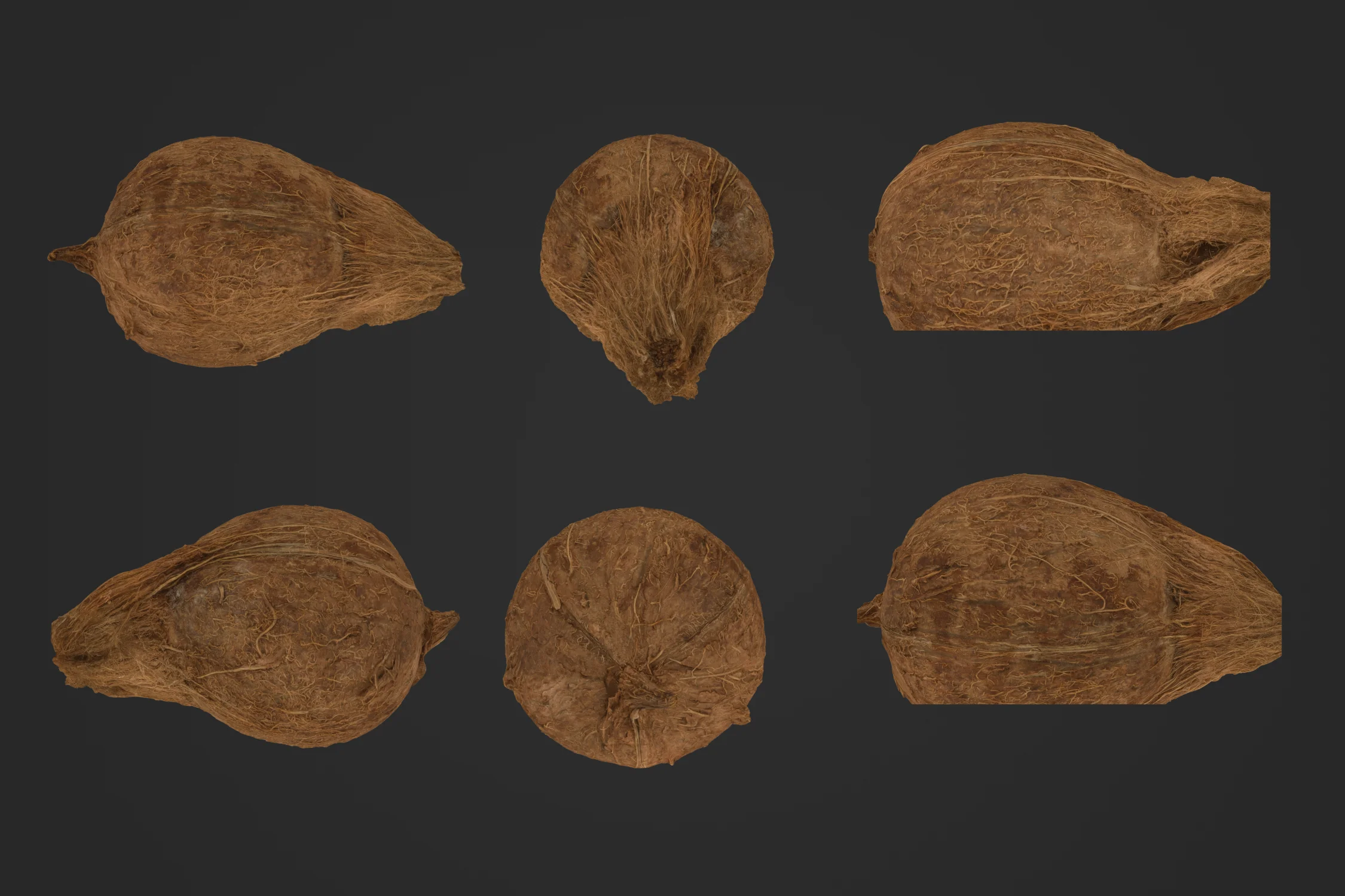 Coconut_1_1.jpg