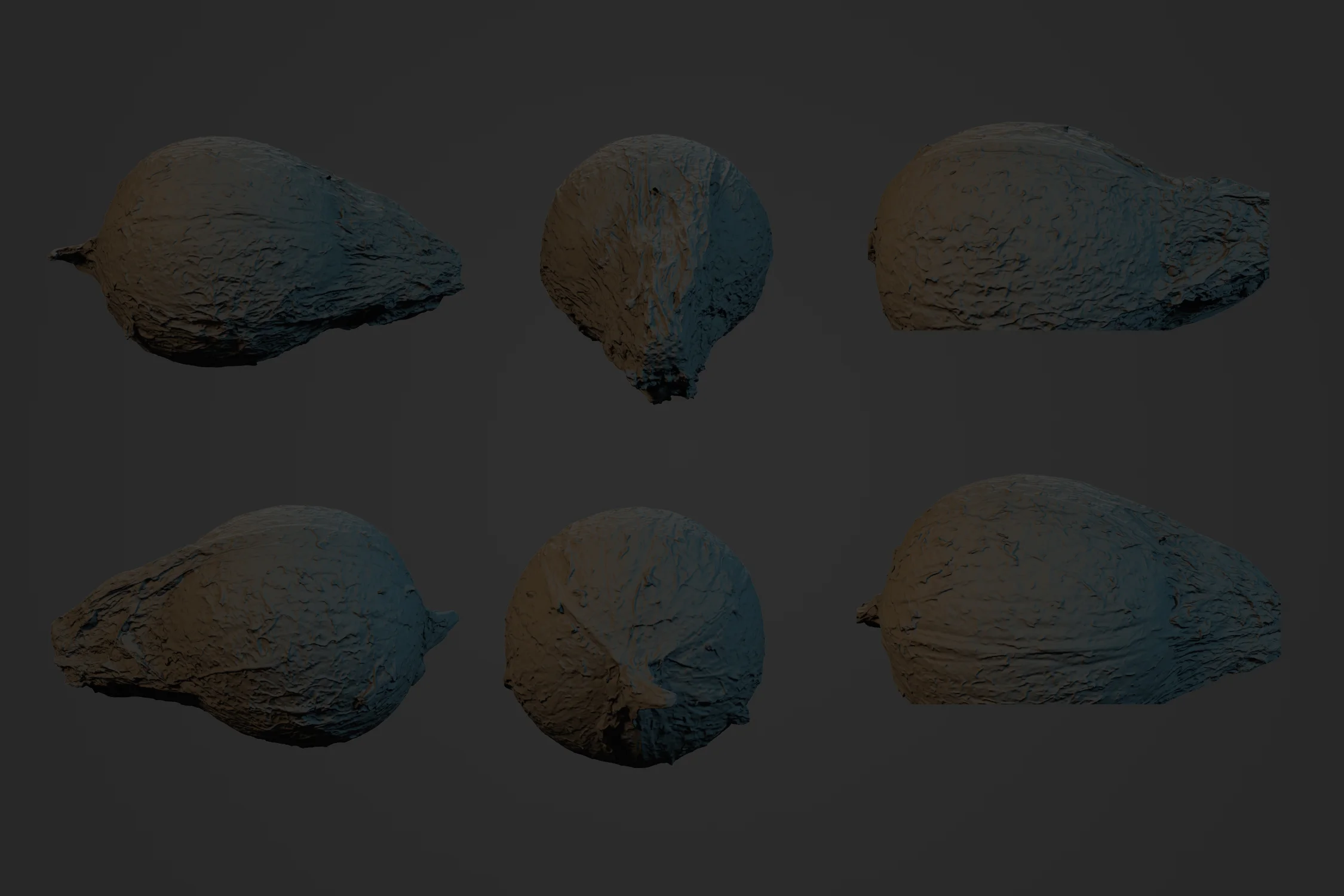 Coconut_1_0.jpg