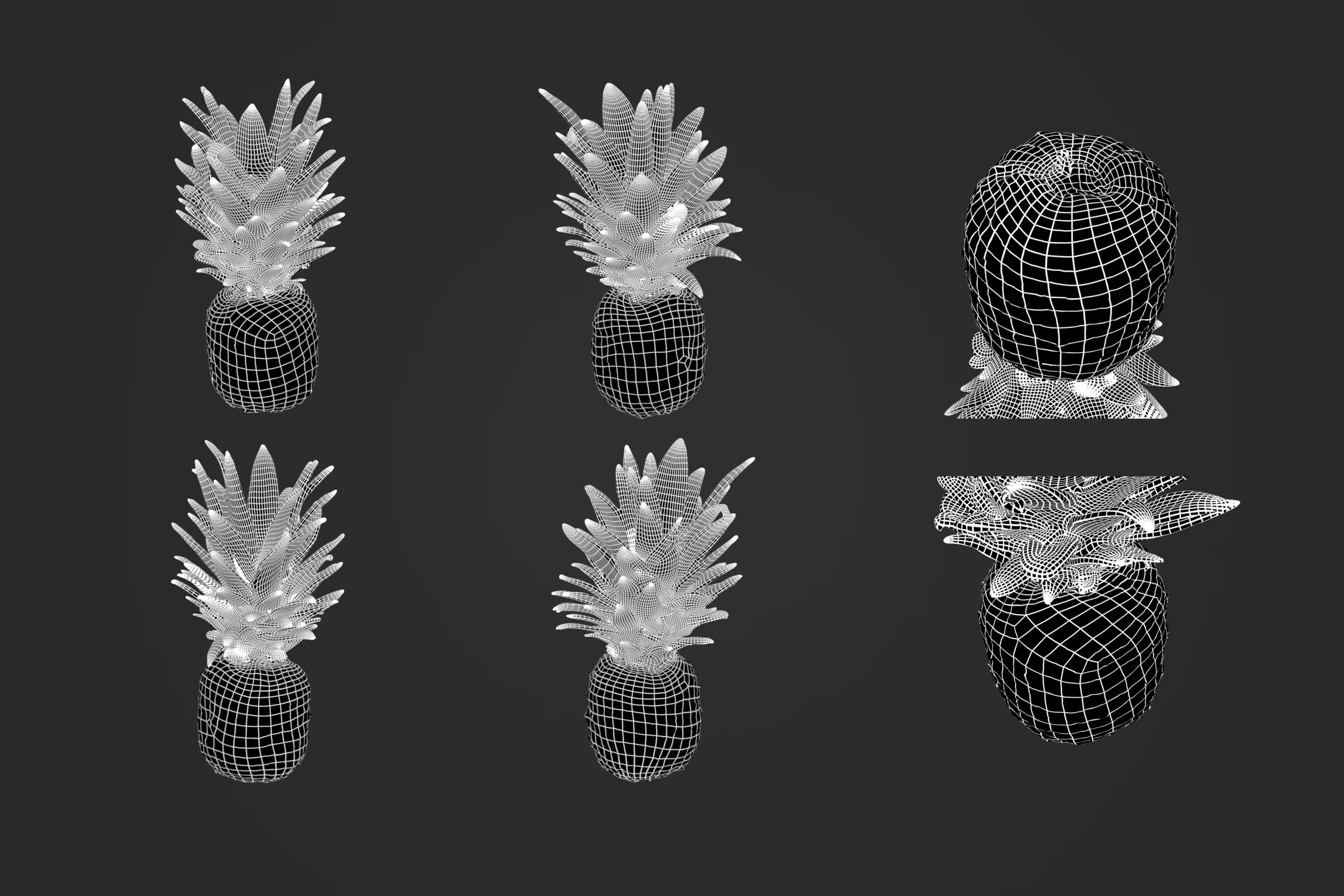 Pineapple_1_2.jpg