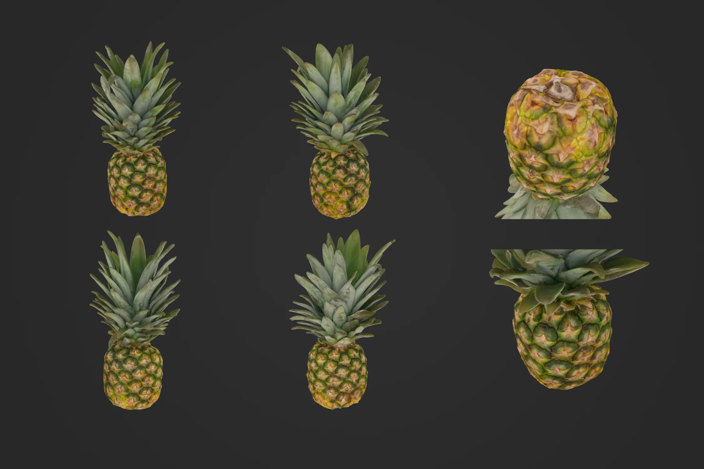 Pineapple_1_1.jpg