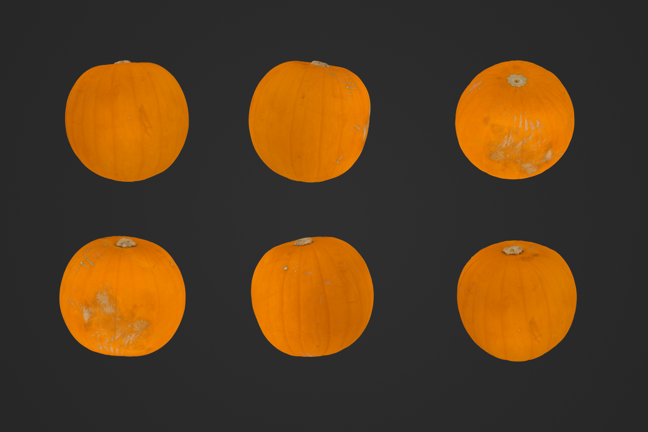 Large_Pumpkin_1_1.jpg