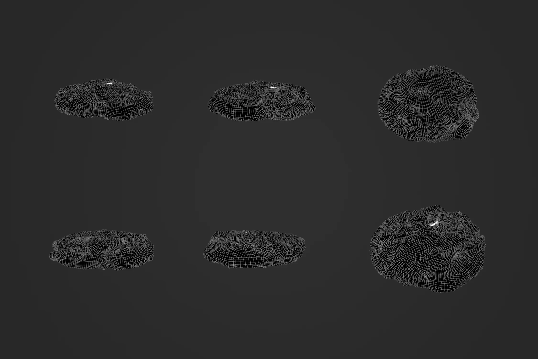Cookie_1_2.jpg