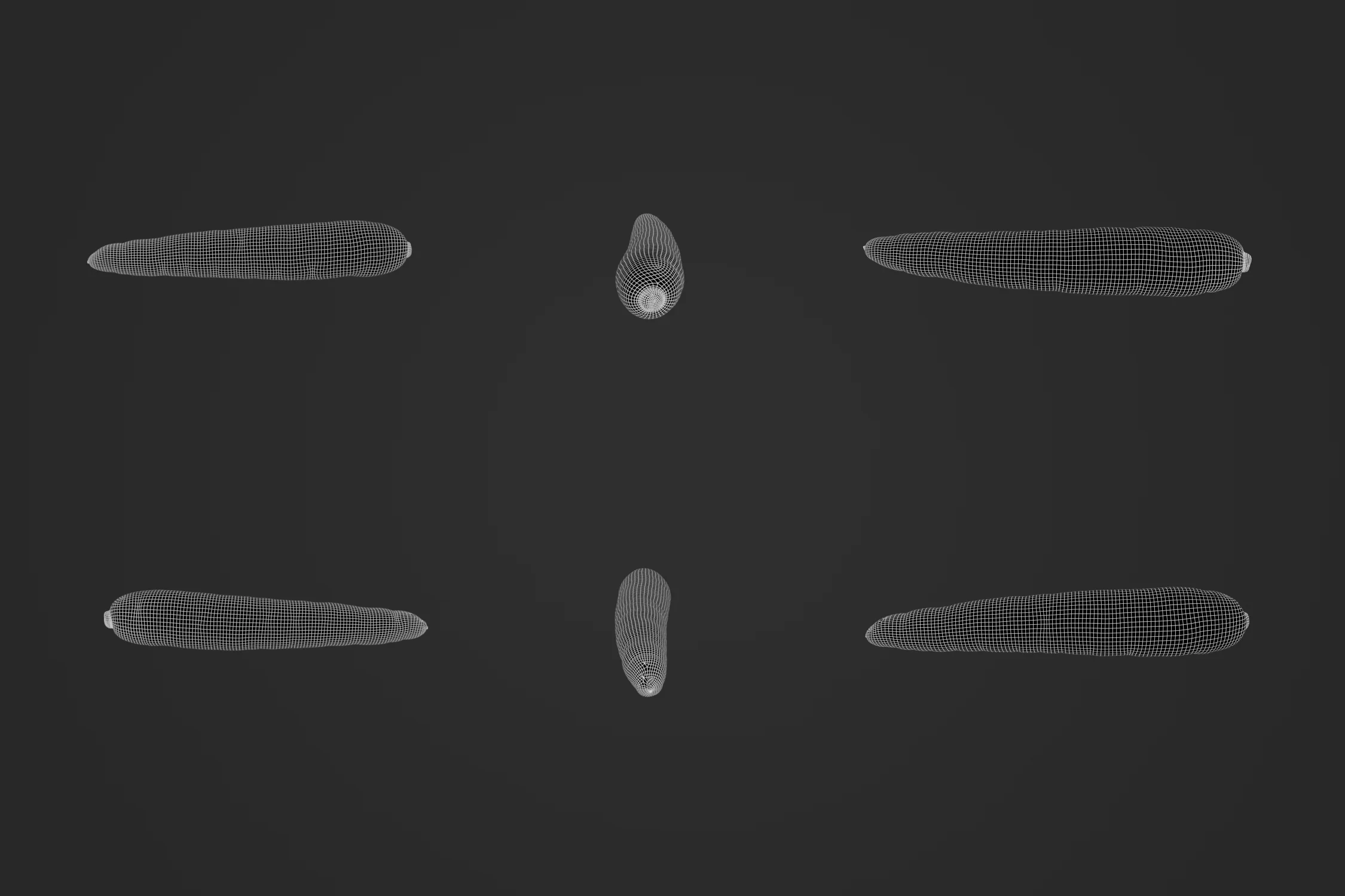 Carrot_02_2.jpg