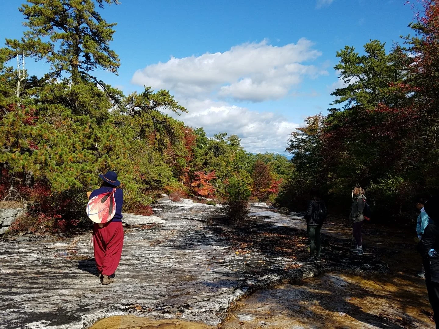 Nature Meditation Hike with Adventure Untamed, $99 
